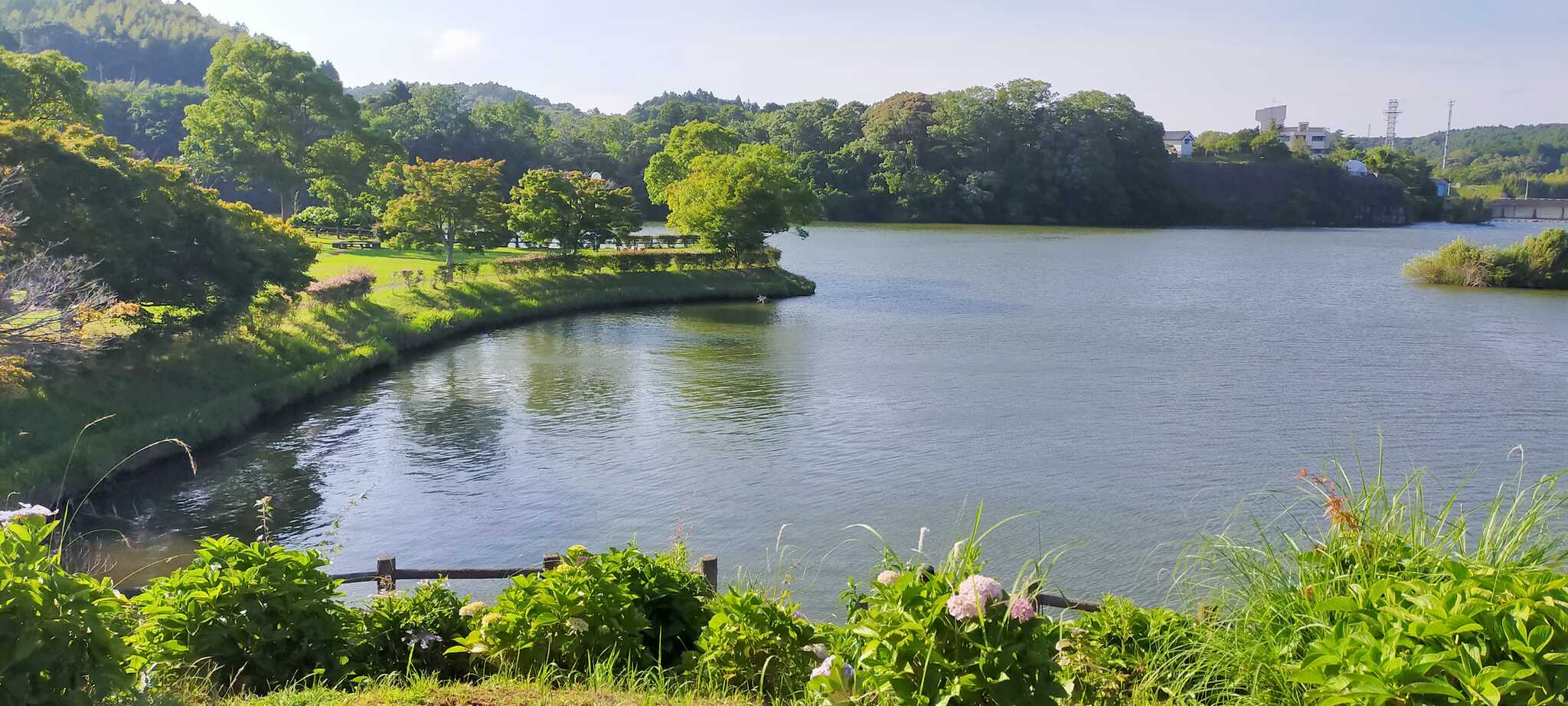 すぐ近くの公園にて