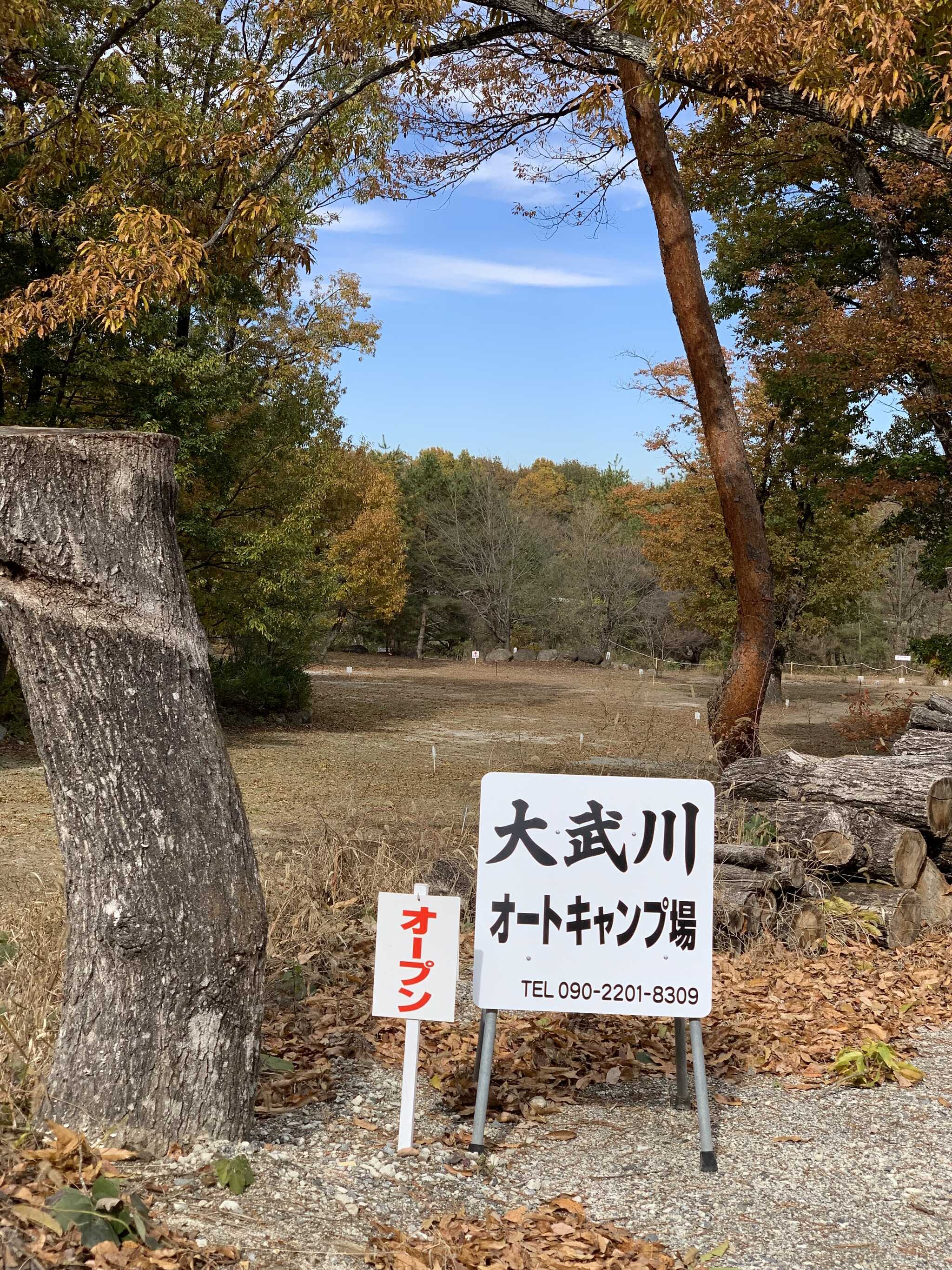 入口