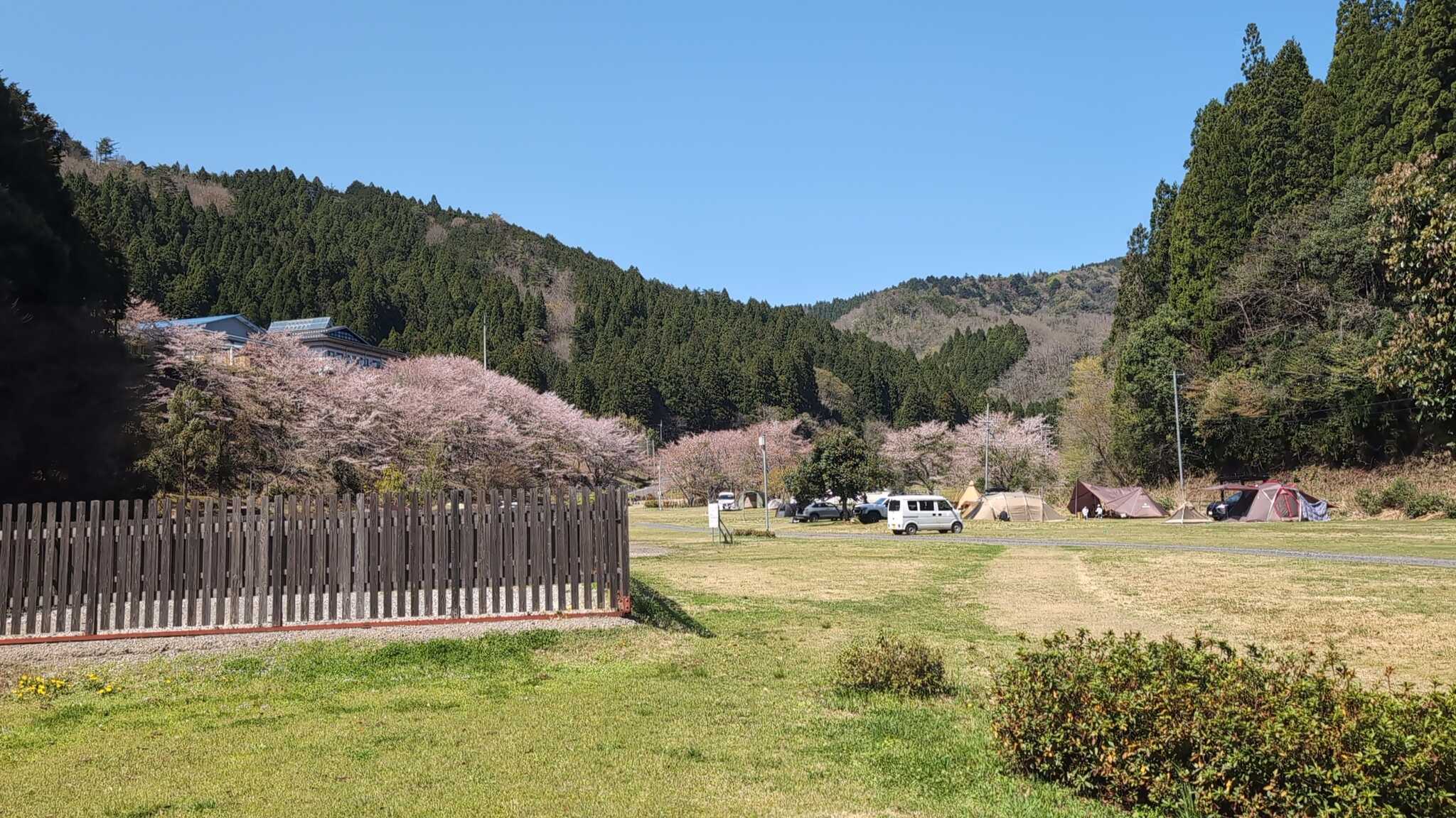 キャンプ場から