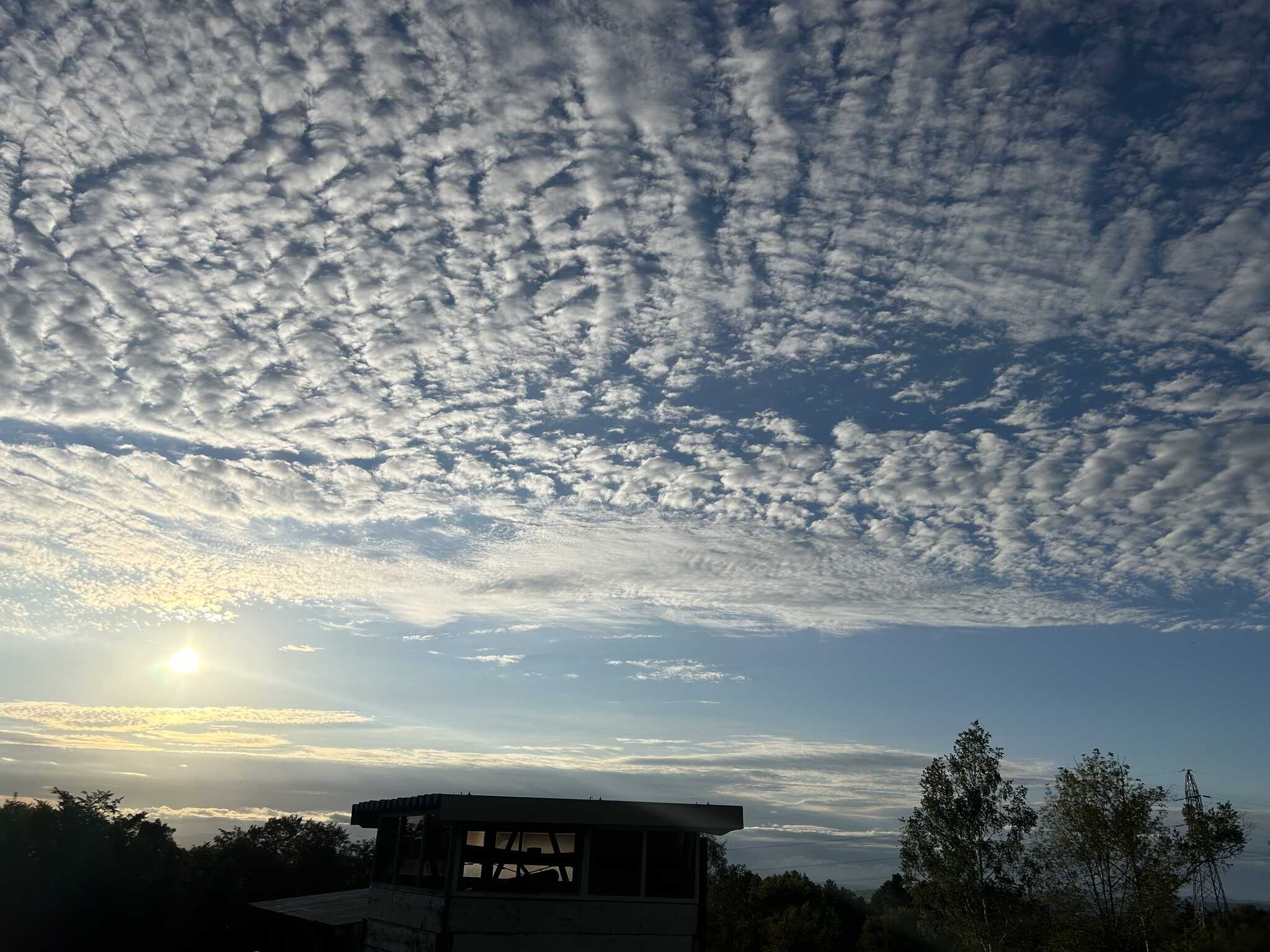 朝の景色です
