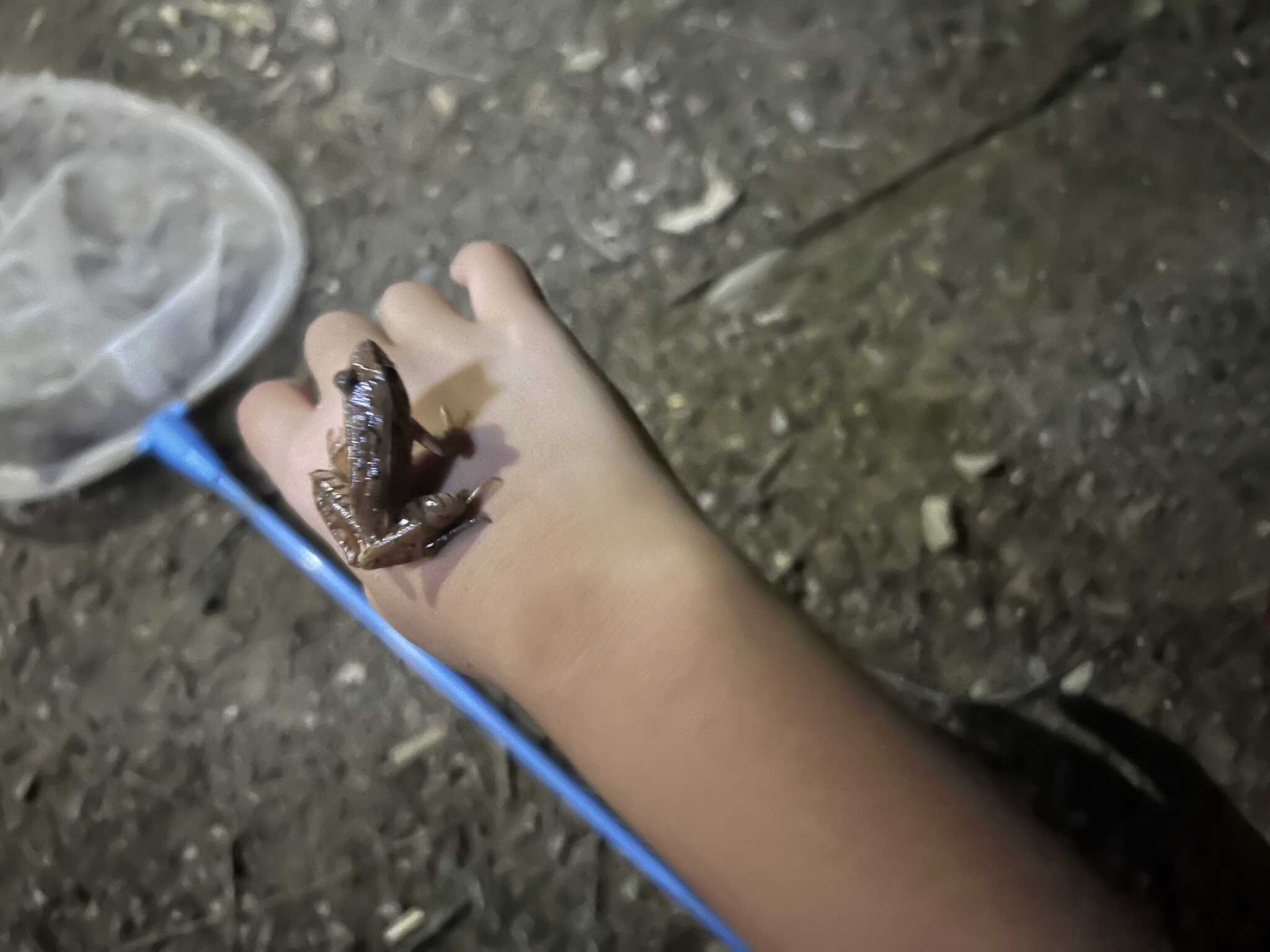 生き物もたくさんいます。
