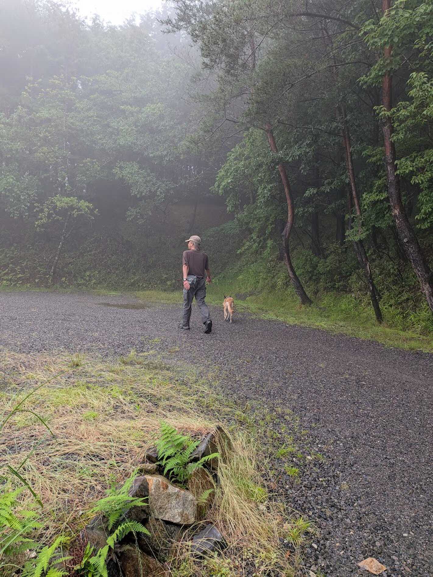 雨が上がって、霧がたちこめる場内を散策しました