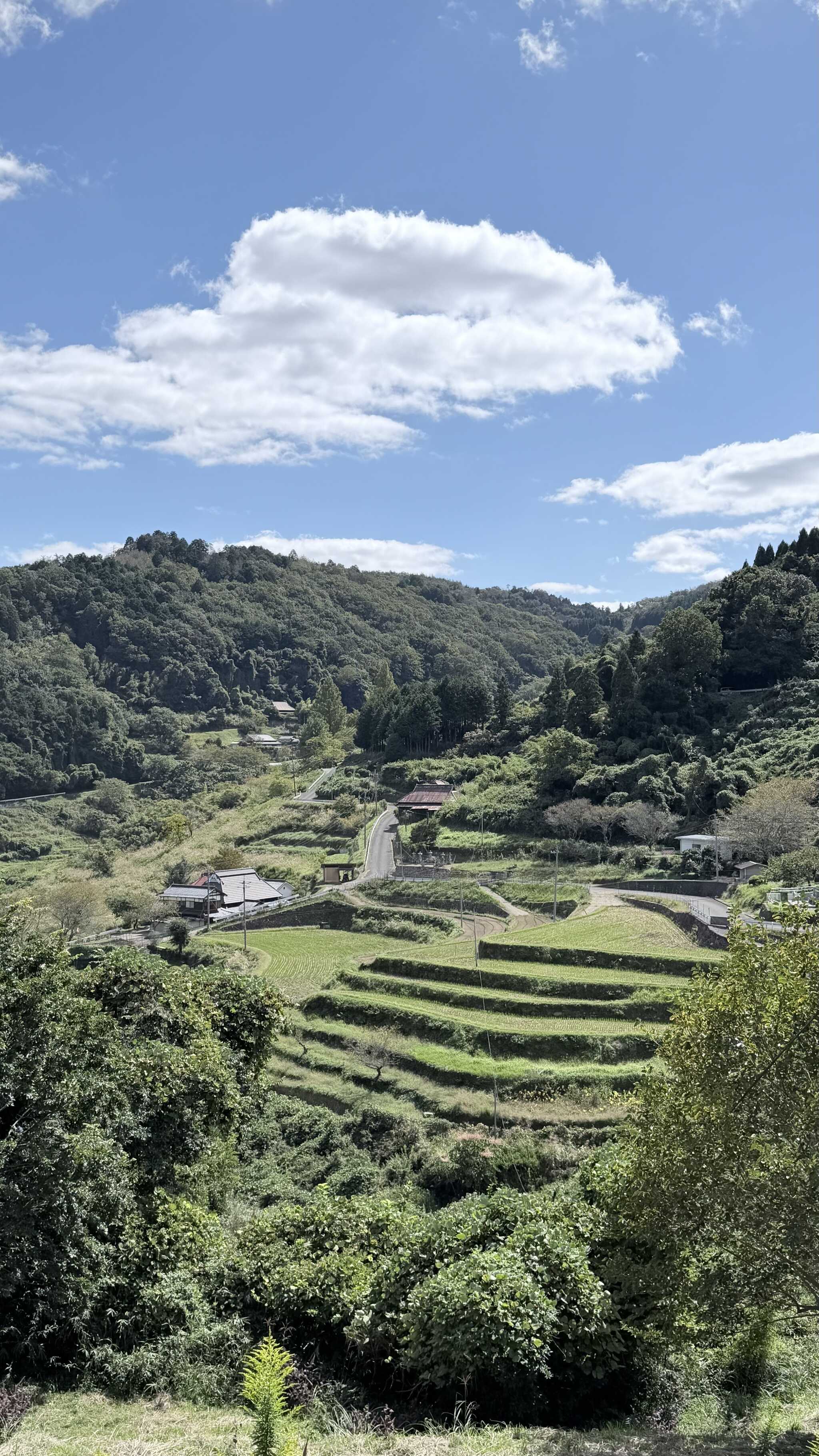 近くに「上山の千枚田」という指定文化財があり良い景色でした
