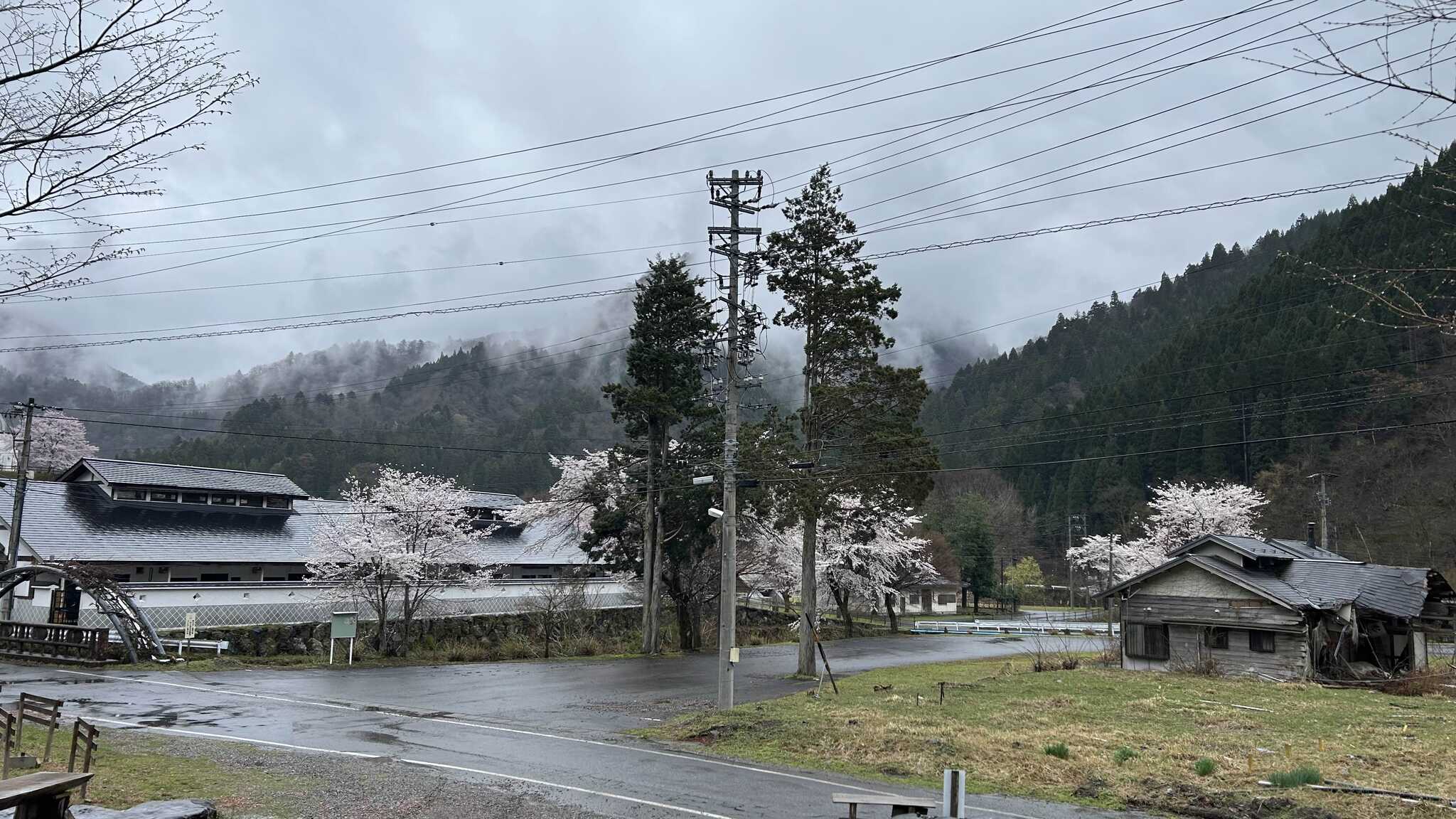 管理棟周辺からの眺めです。当日は曇りでした......