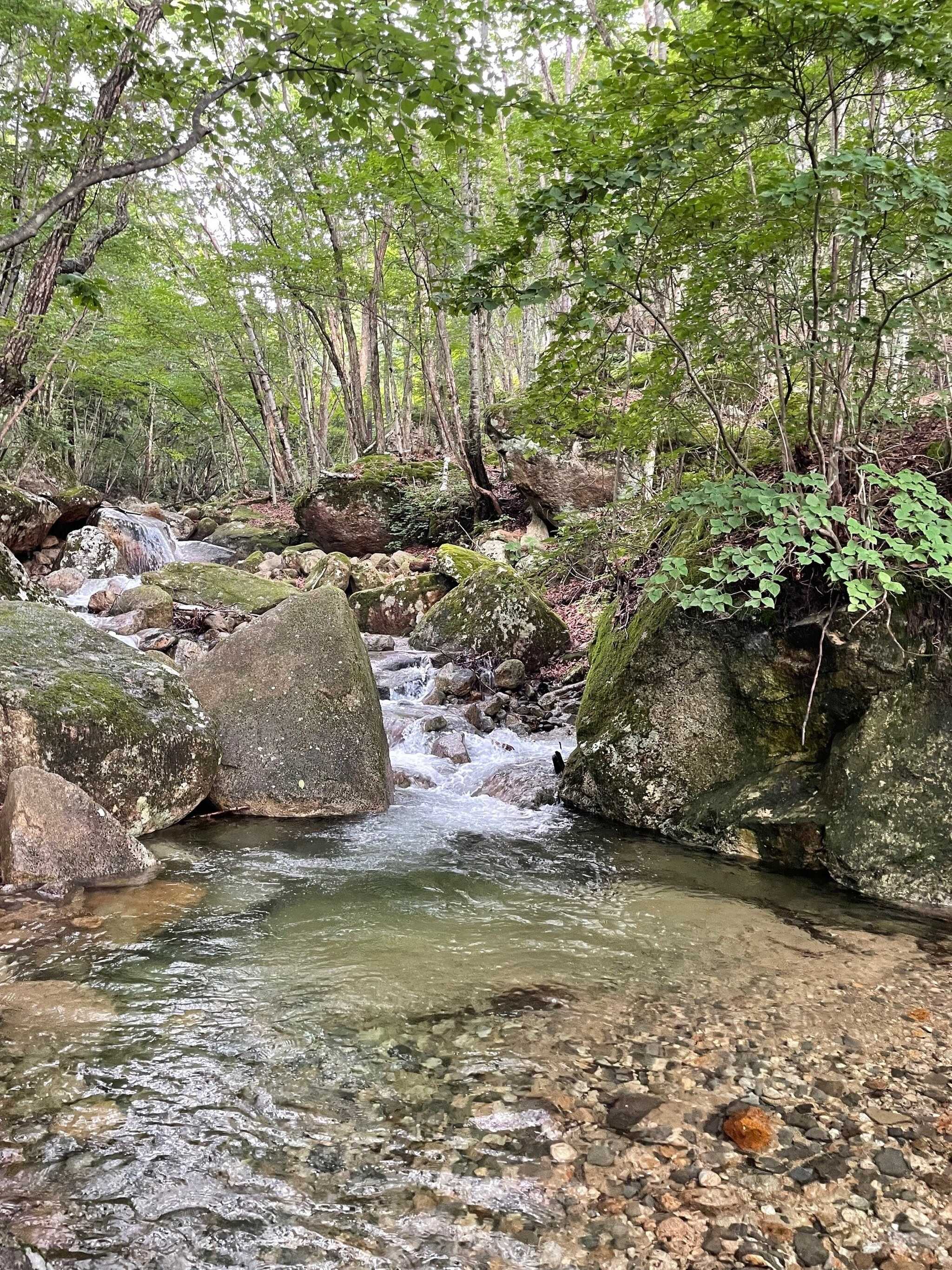 河原サウナの上流