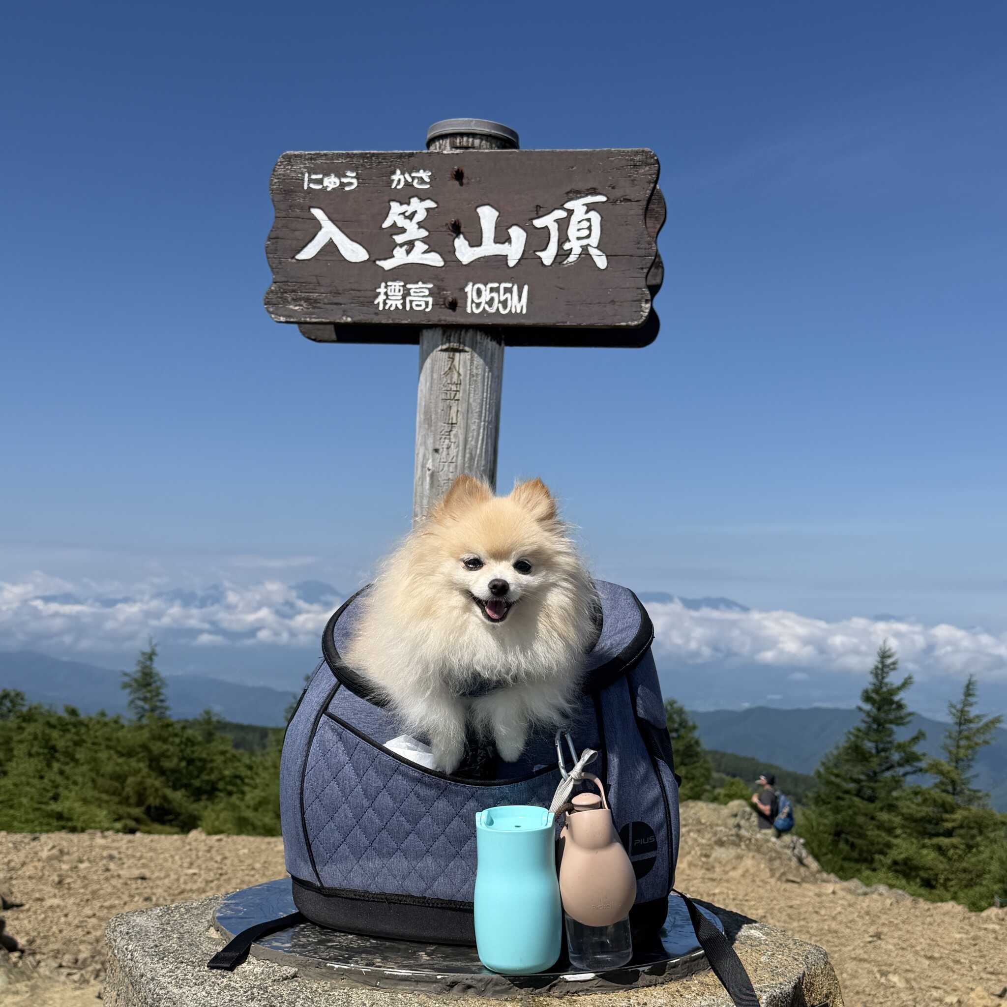 ペットと登山