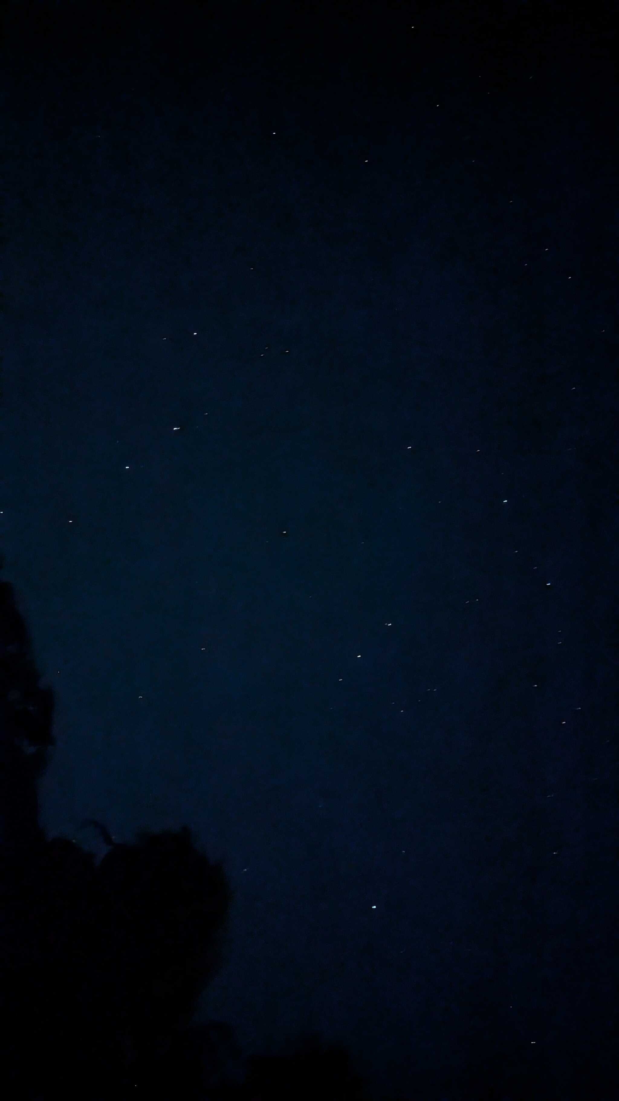星が綺麗に見えました