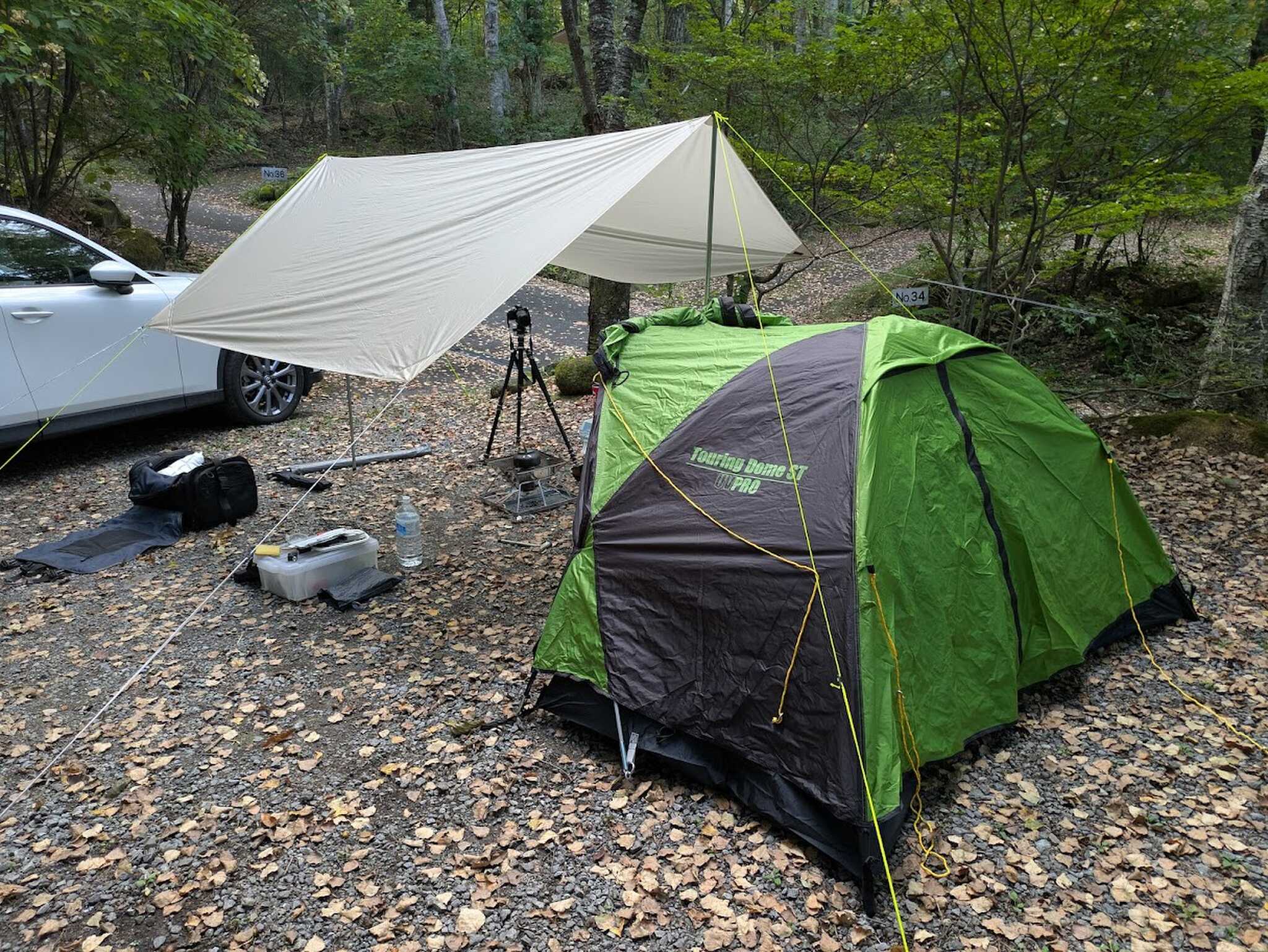 車1台、タープ、ドームテント
