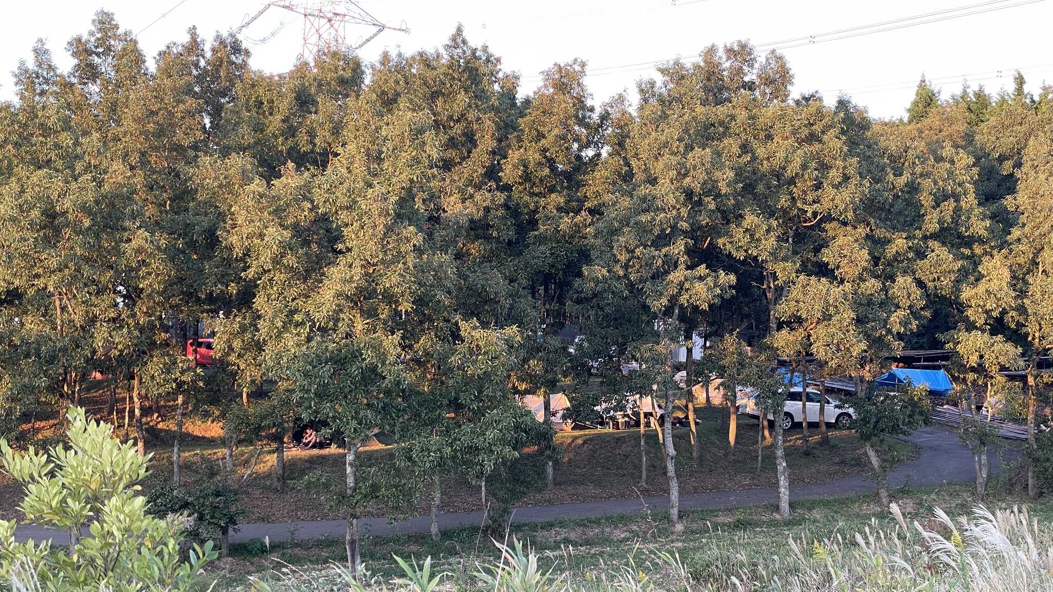 サイト全景