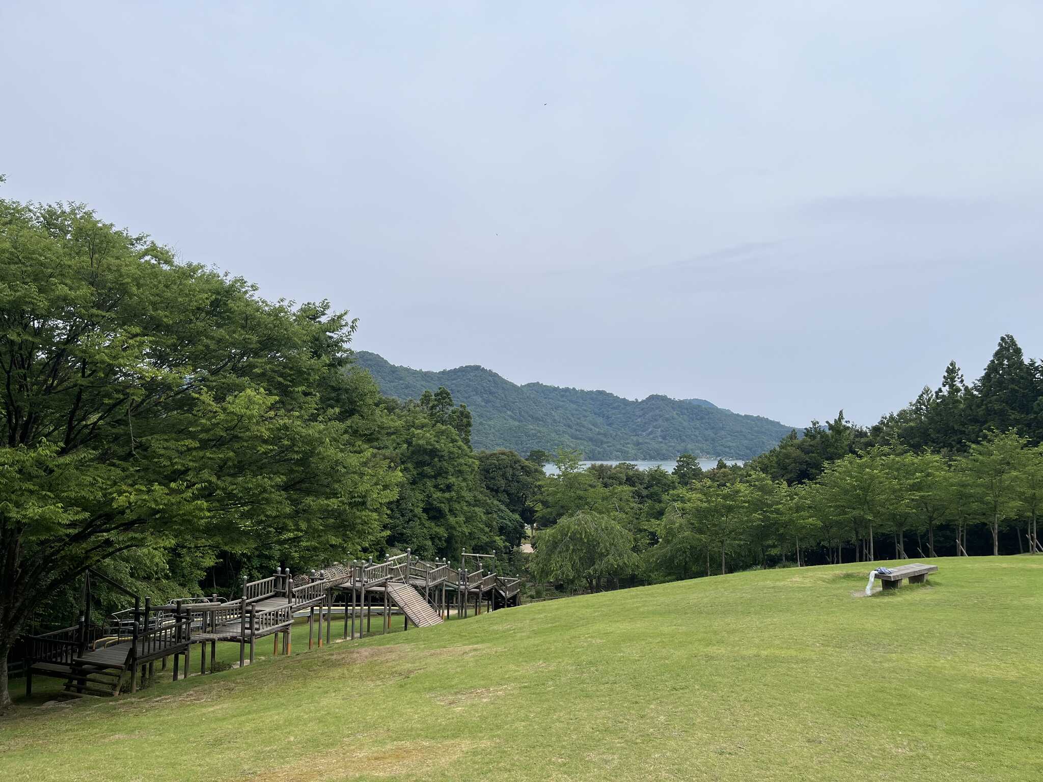 アスレチック、子供は大喜び
