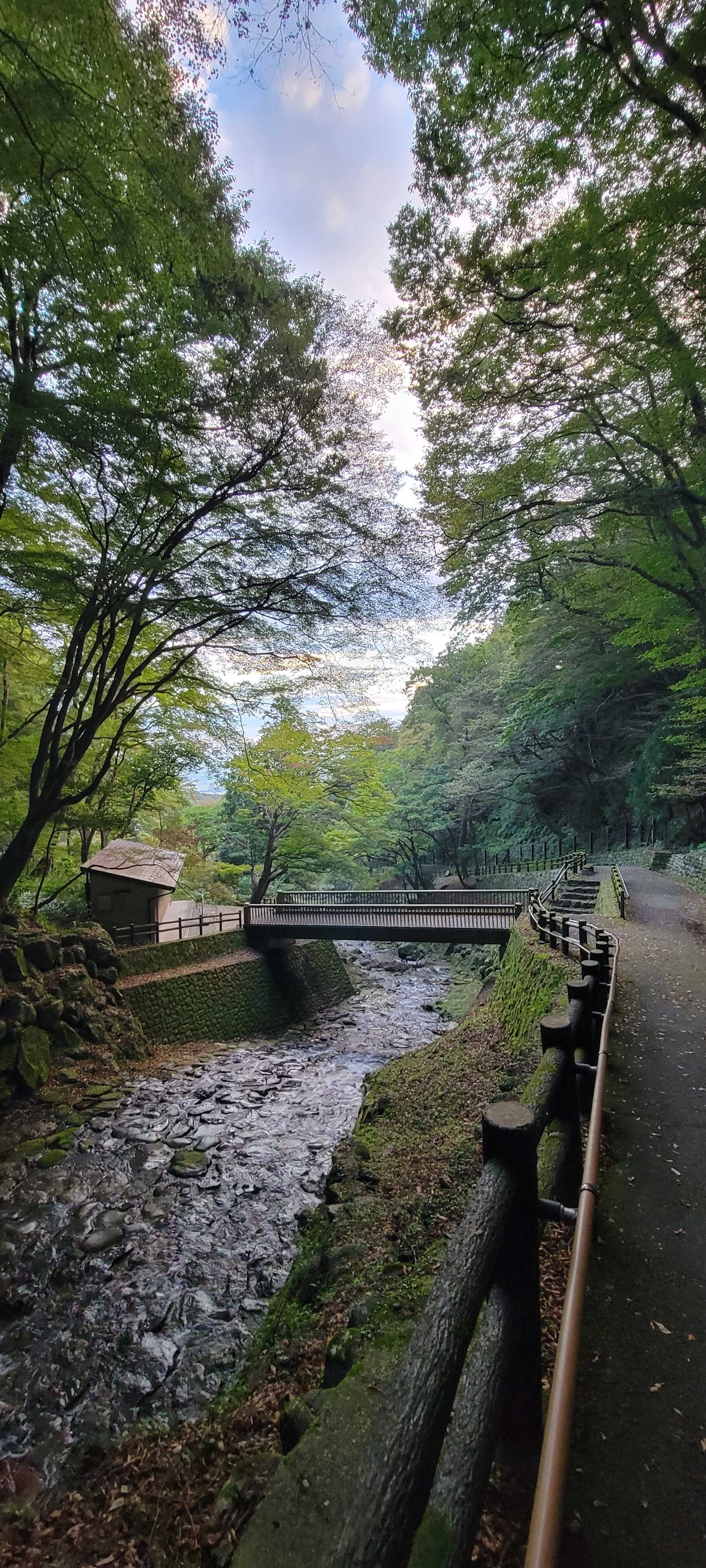 近くに養老公園があります