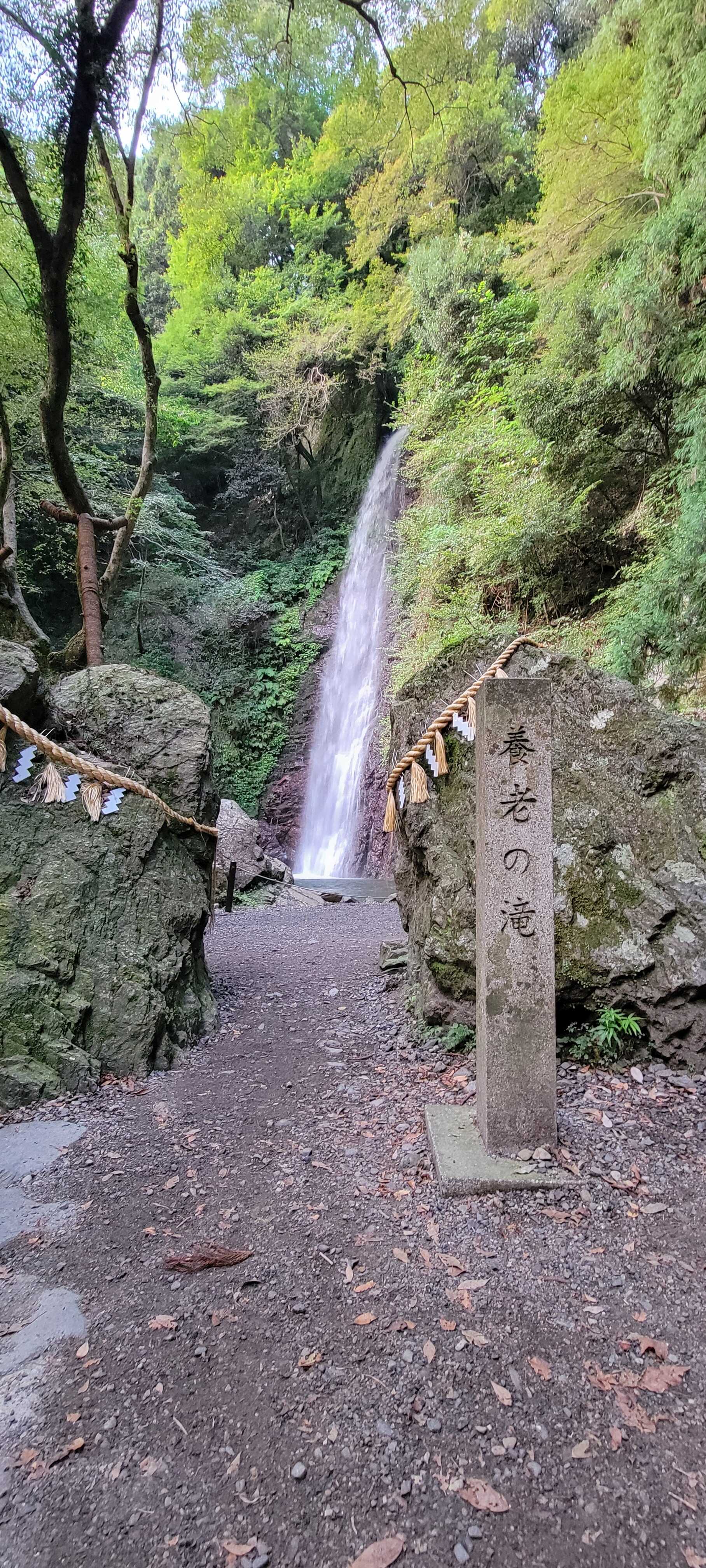 朝散歩して養老の滝に行ってきました