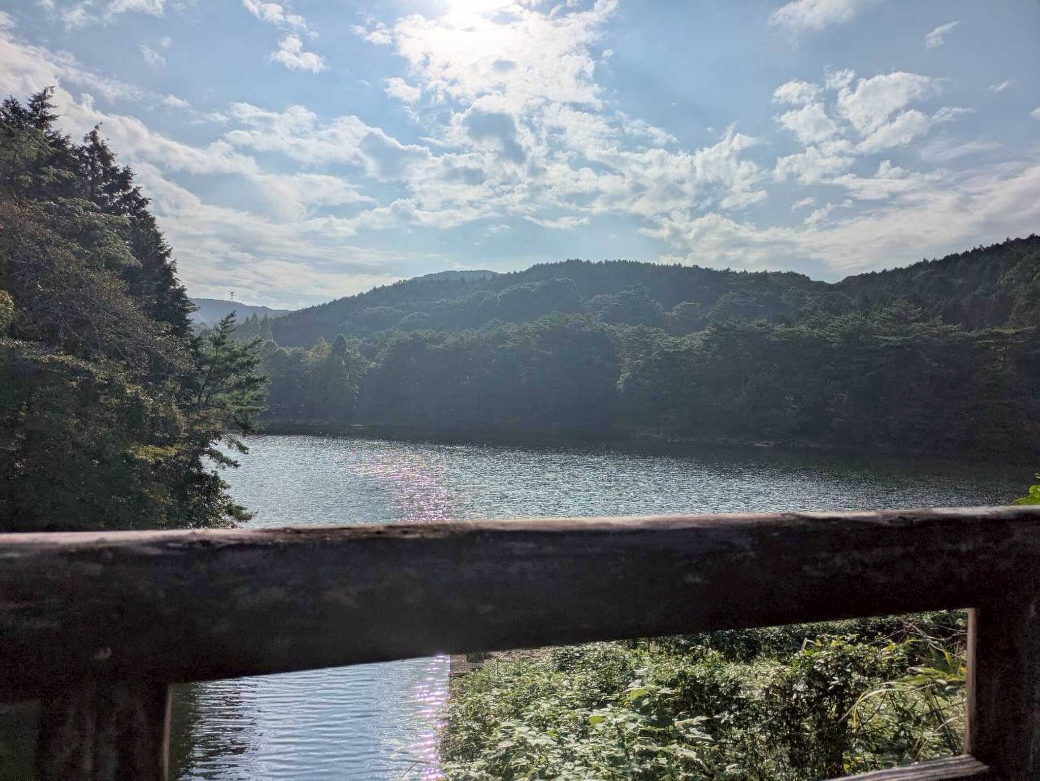 説明なし