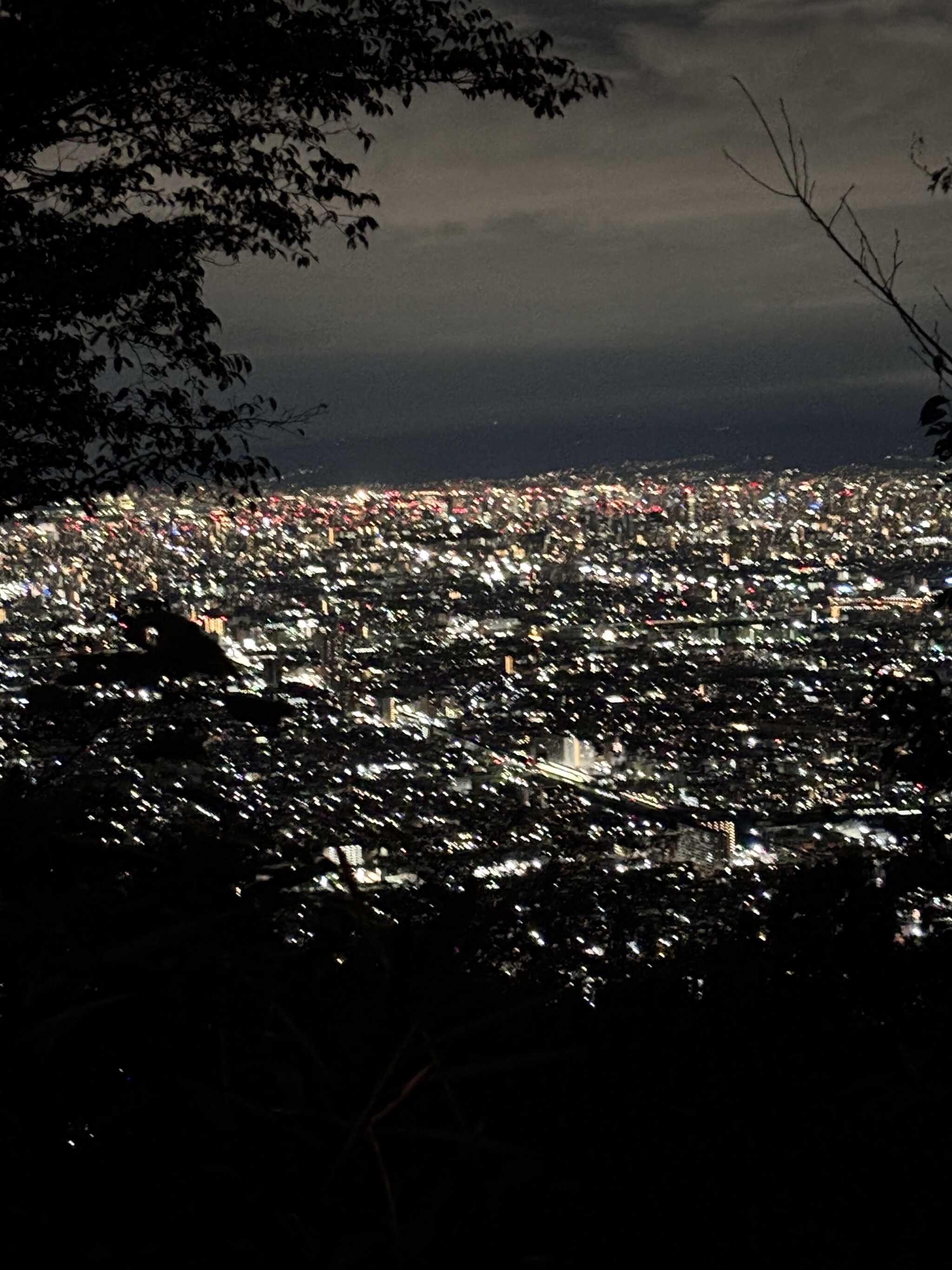 夜景