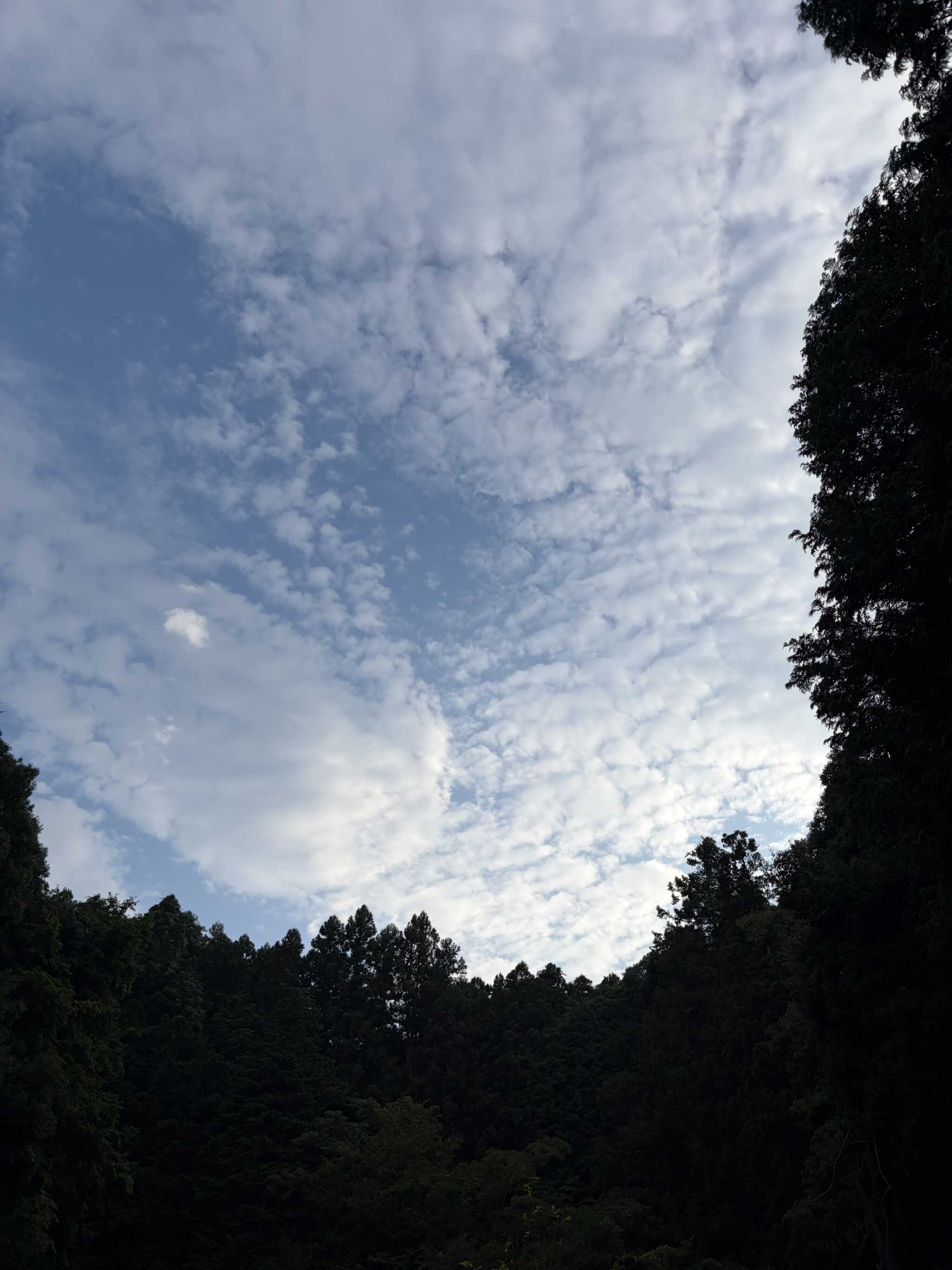 これは朝5時ごろ、虫と寒さで目が覚めた空