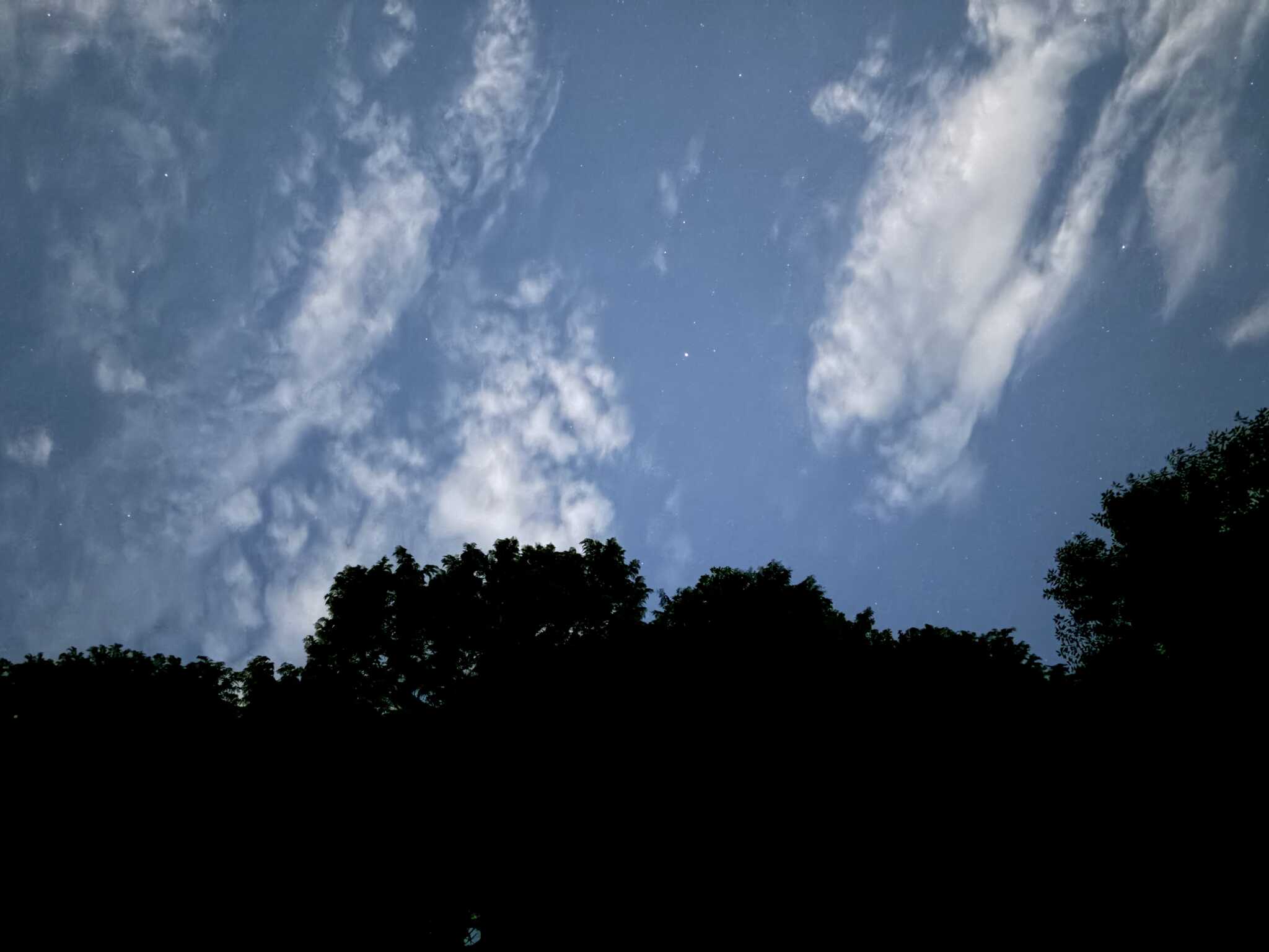 朝っぽいけどこれは夜