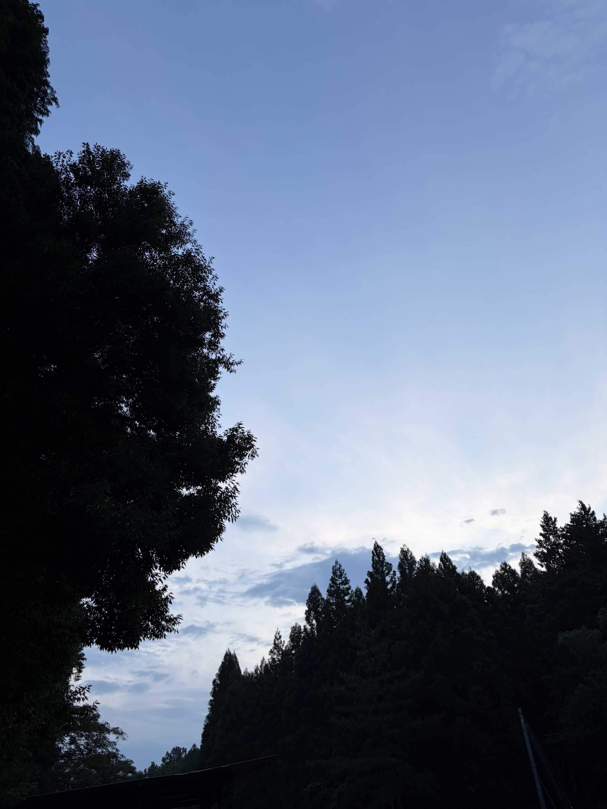 これは朝7時くらい?雨が降ったり止んだりな空
