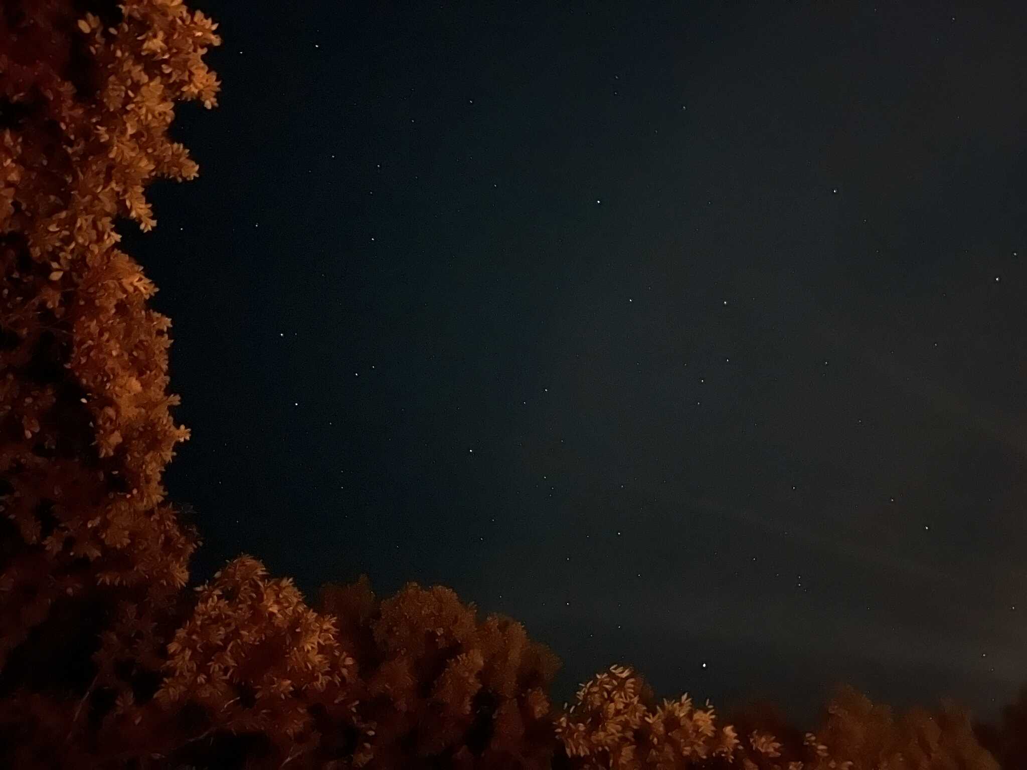 満天の星空