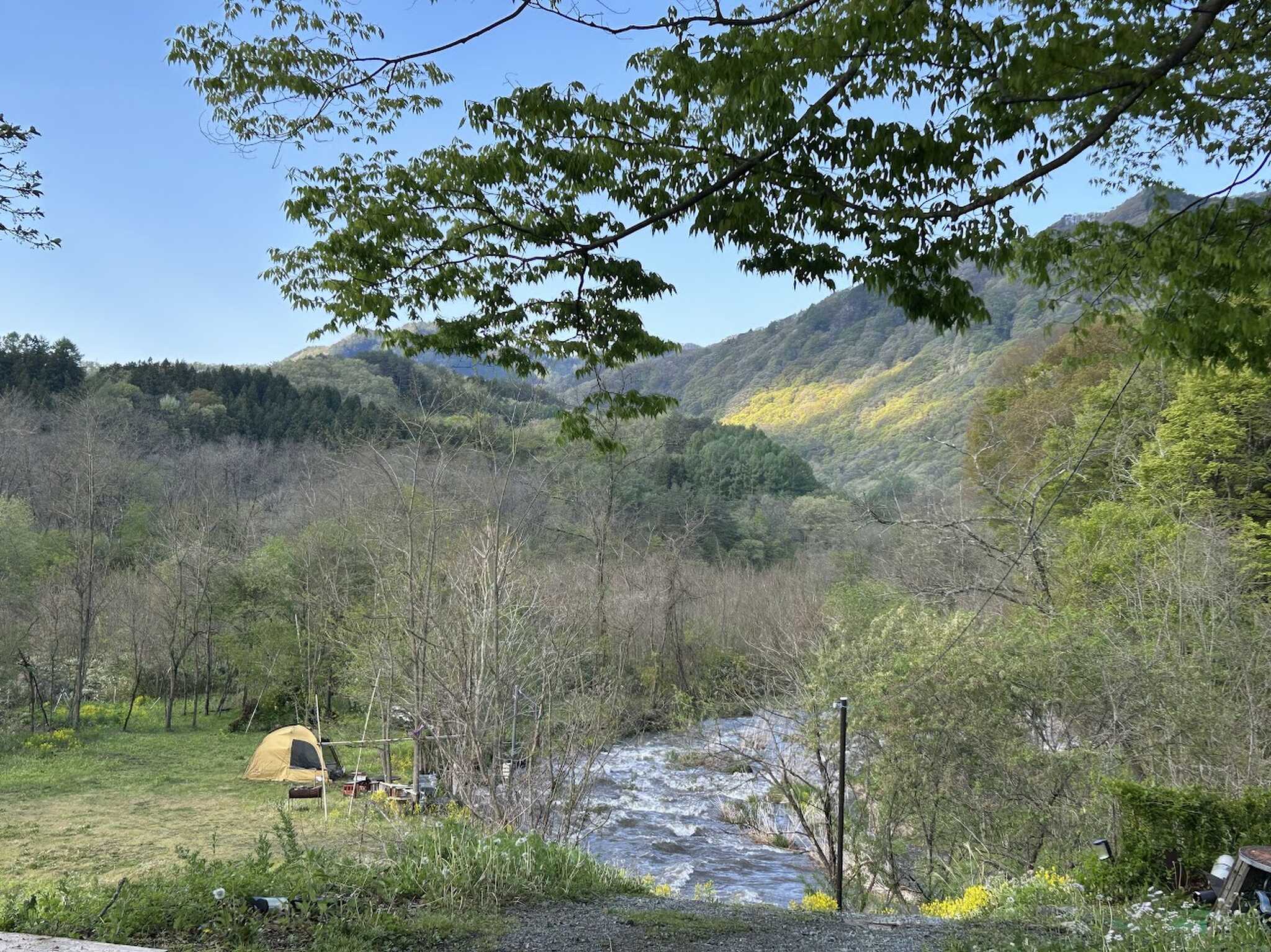 サイトの全景