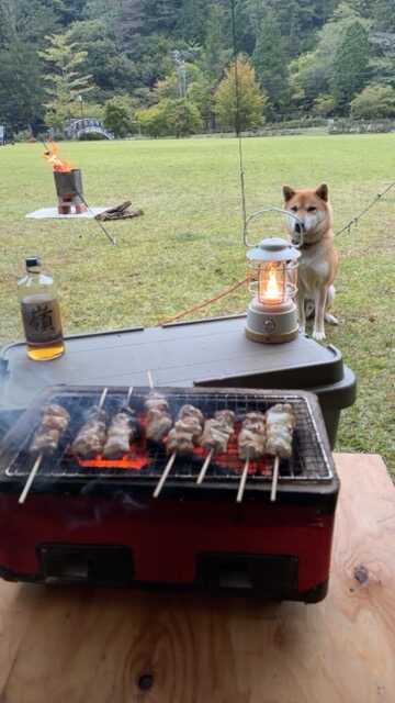 夕食は焼き鳥
