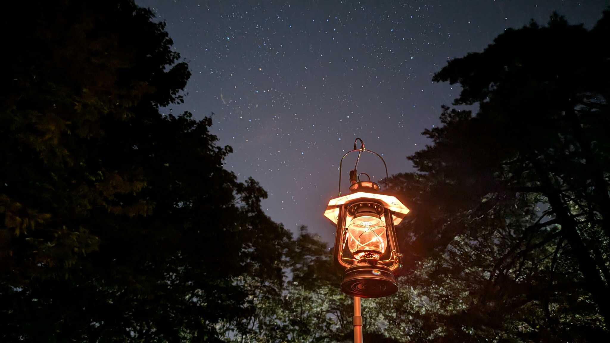 きれいな星空
