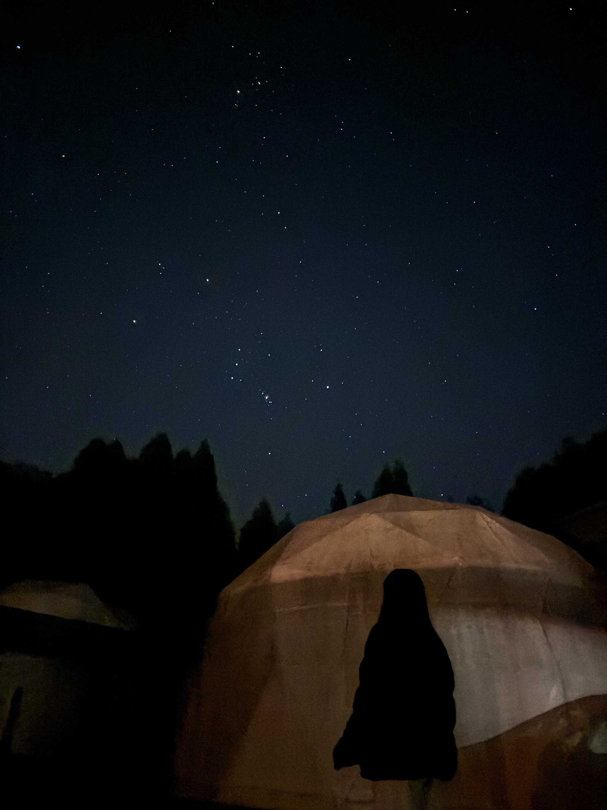 星空(オリオン座)