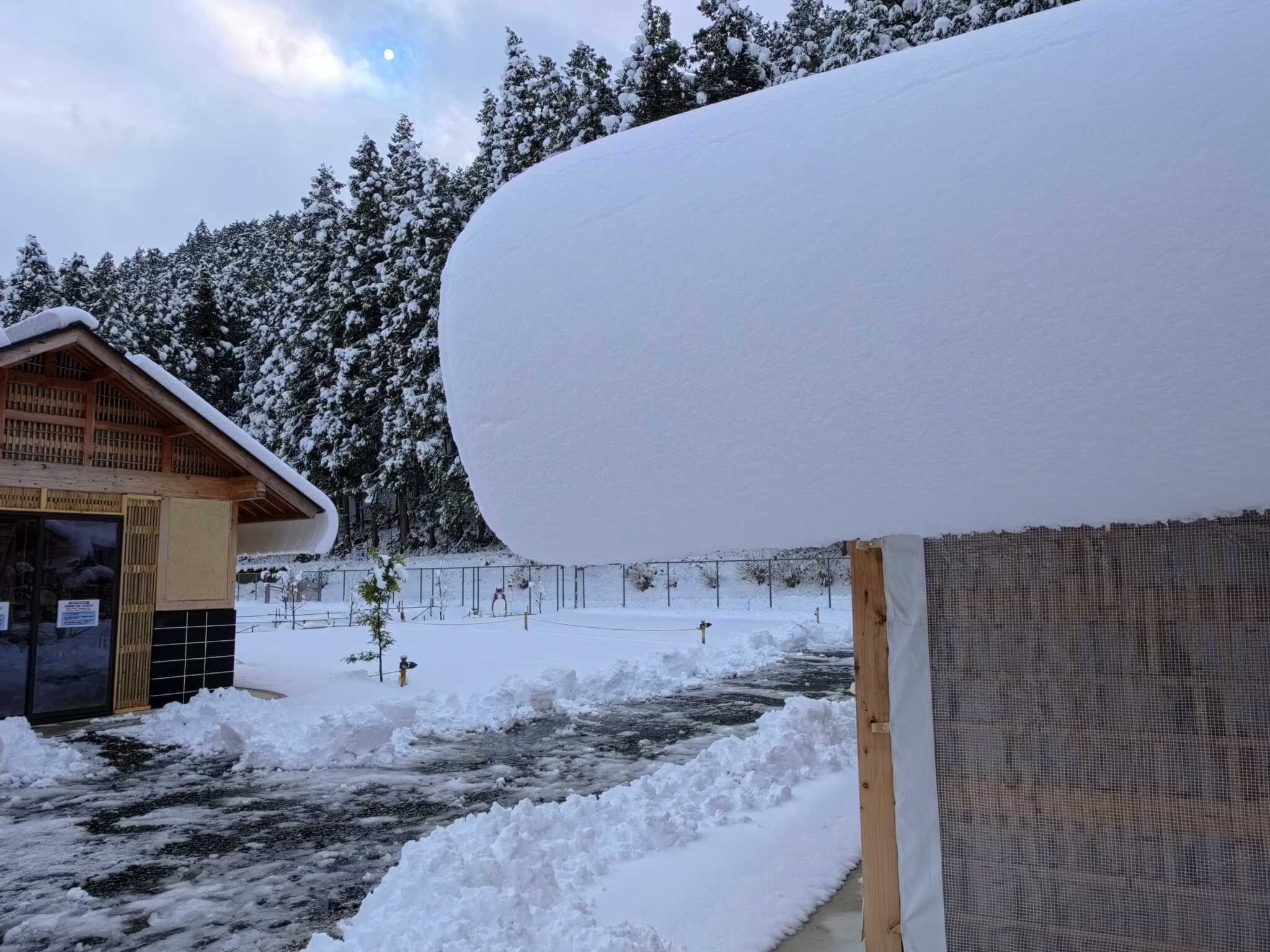 屋根の上の雪