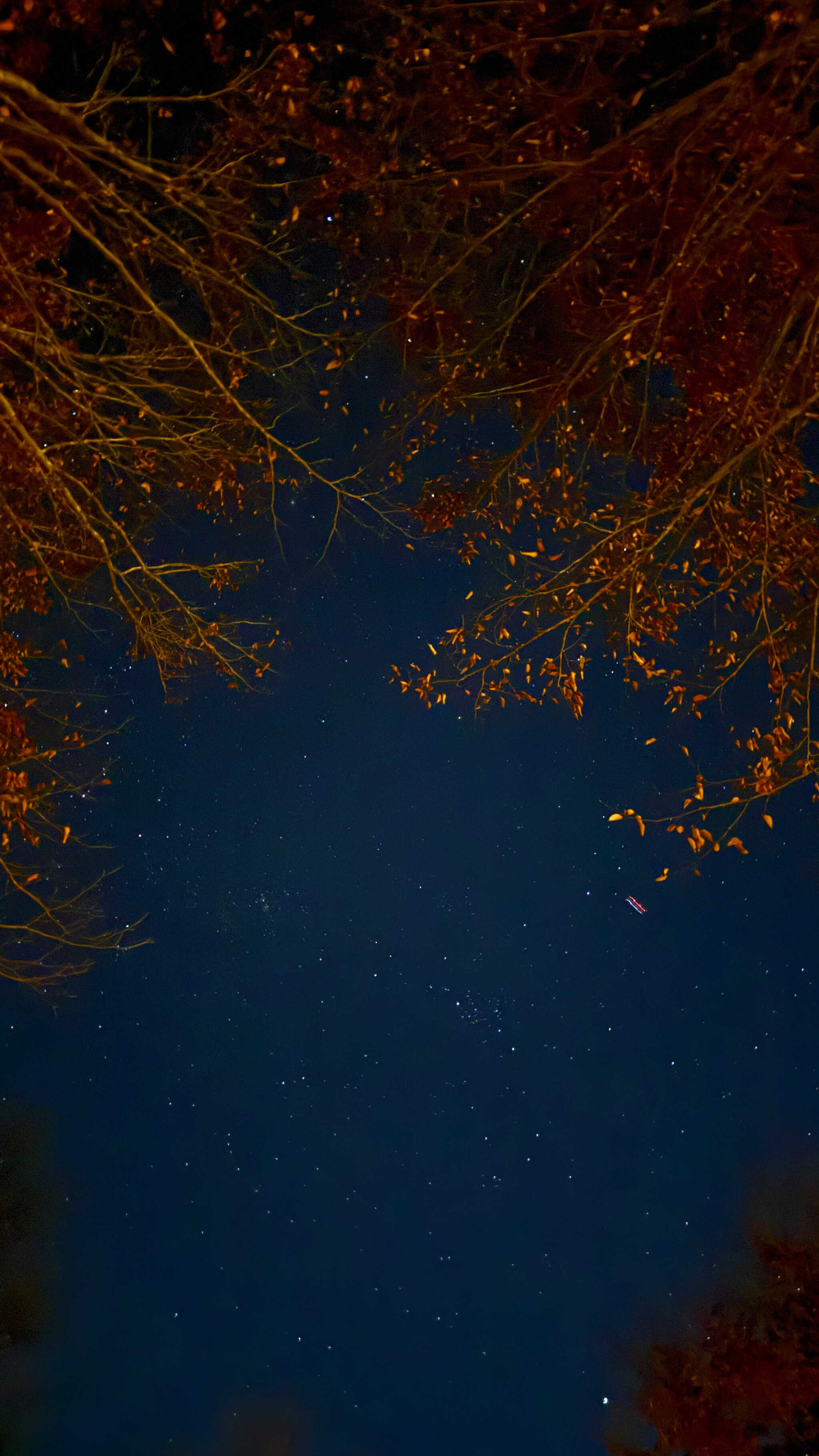 星空