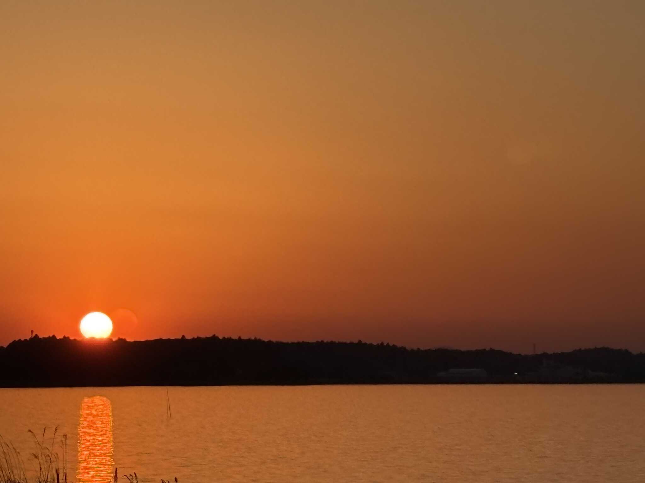 夕日