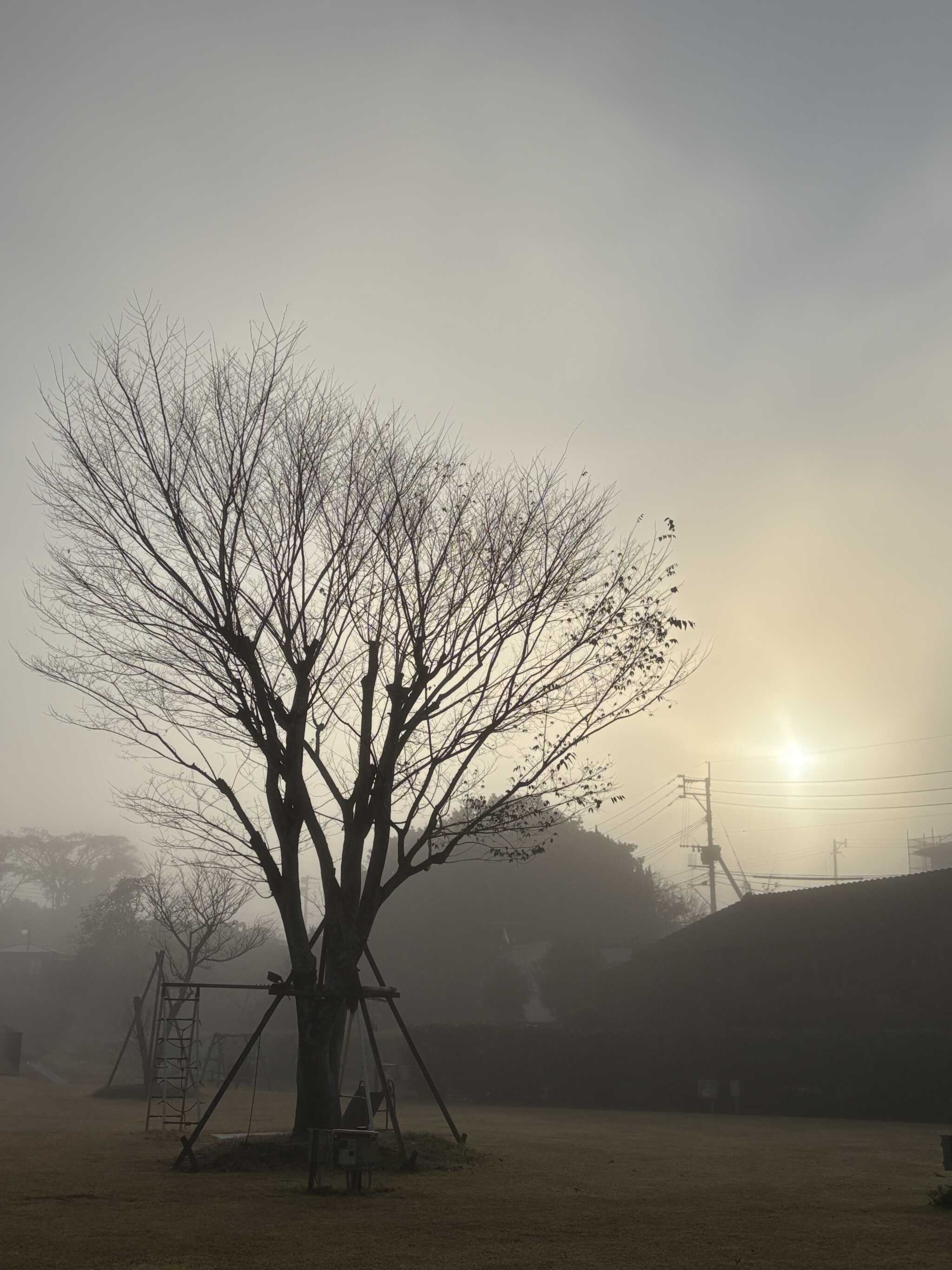 朝8時位です