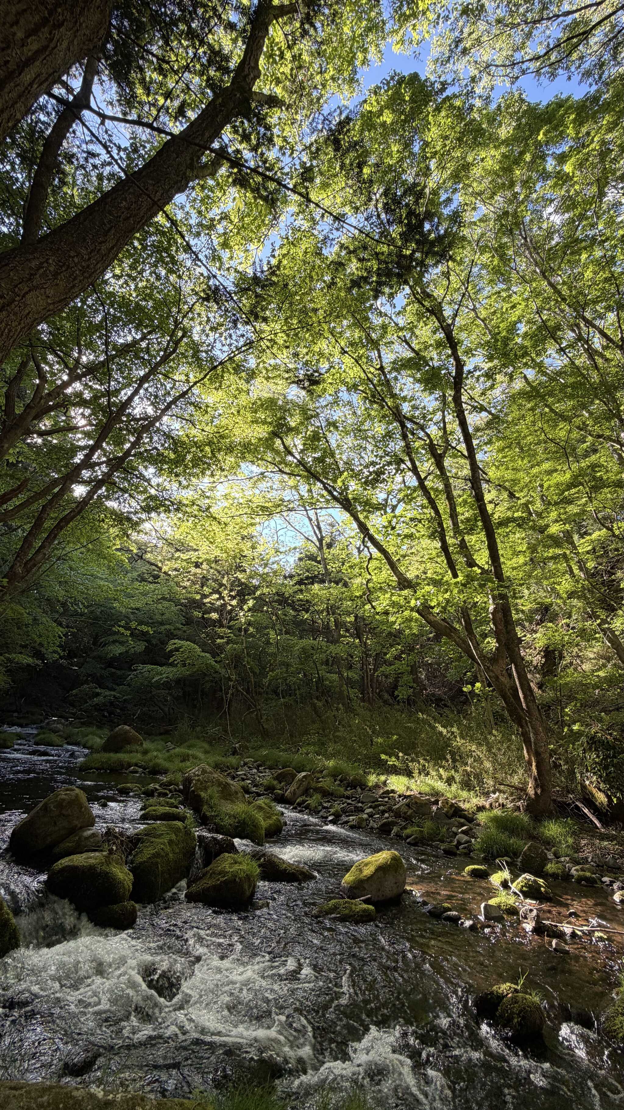 那須高原ITAMUROキャンプ場の口コミ投稿写真