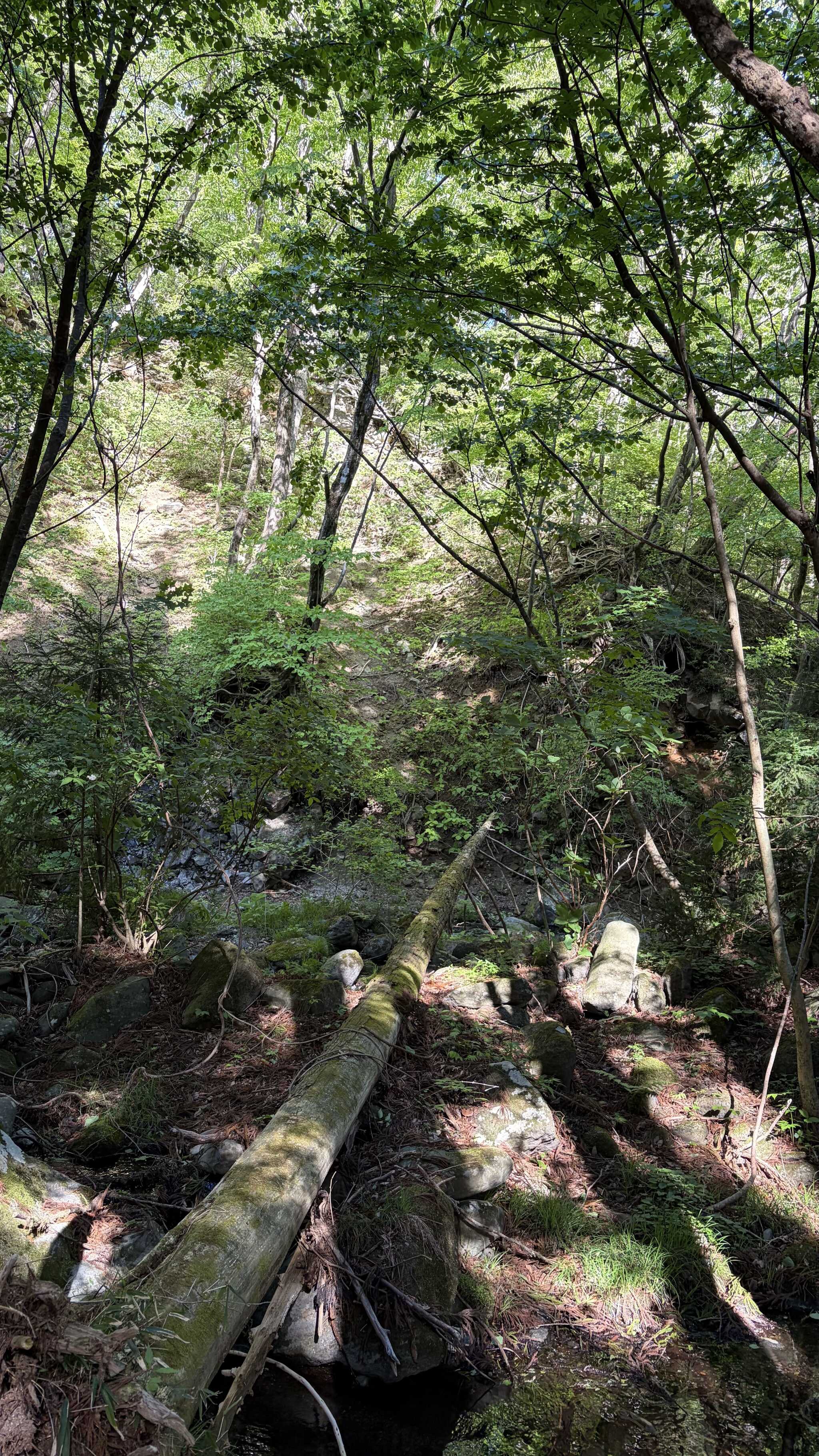 那須高原ITAMUROキャンプ場の口コミ投稿写真