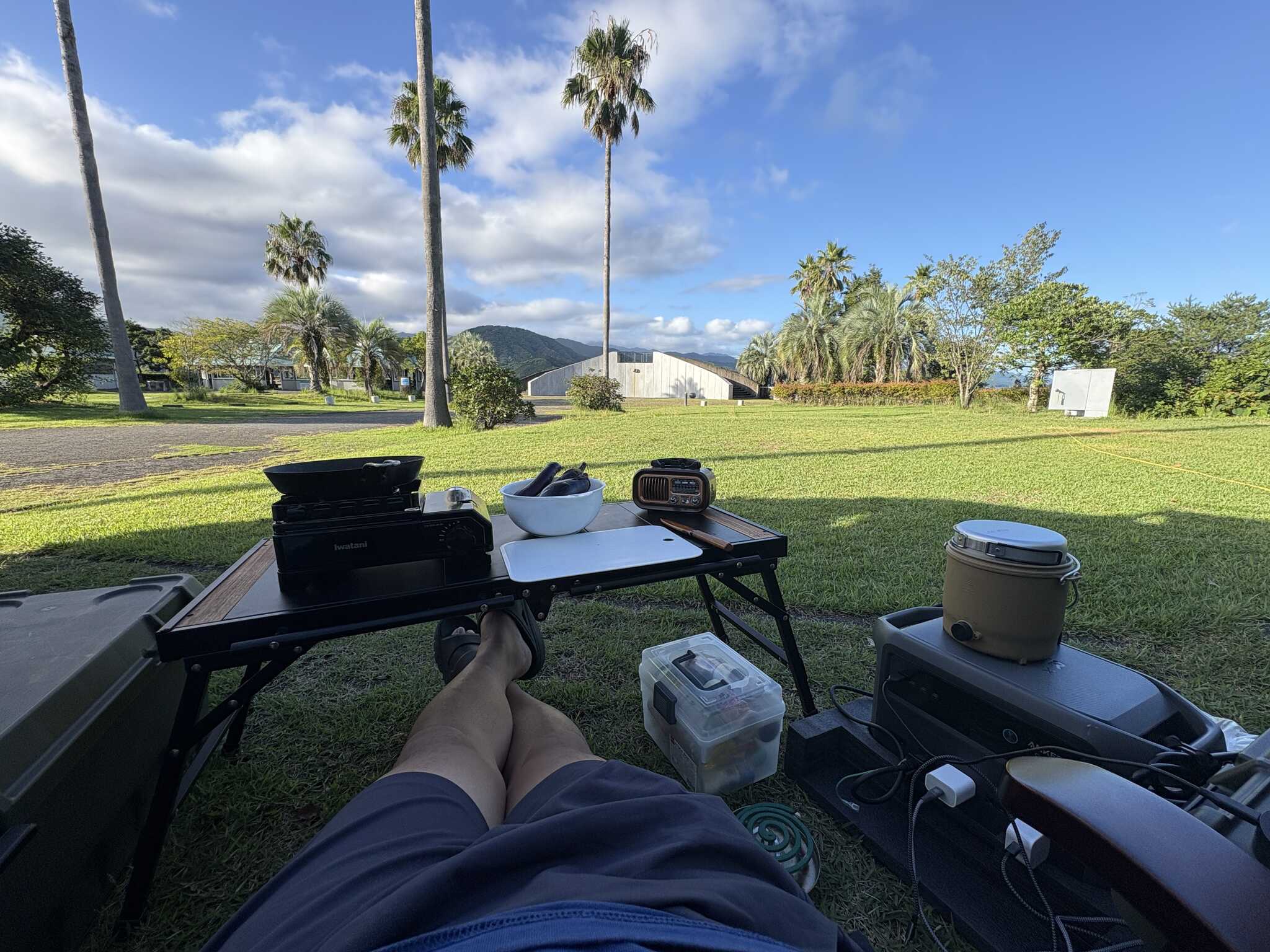優雅な夕食