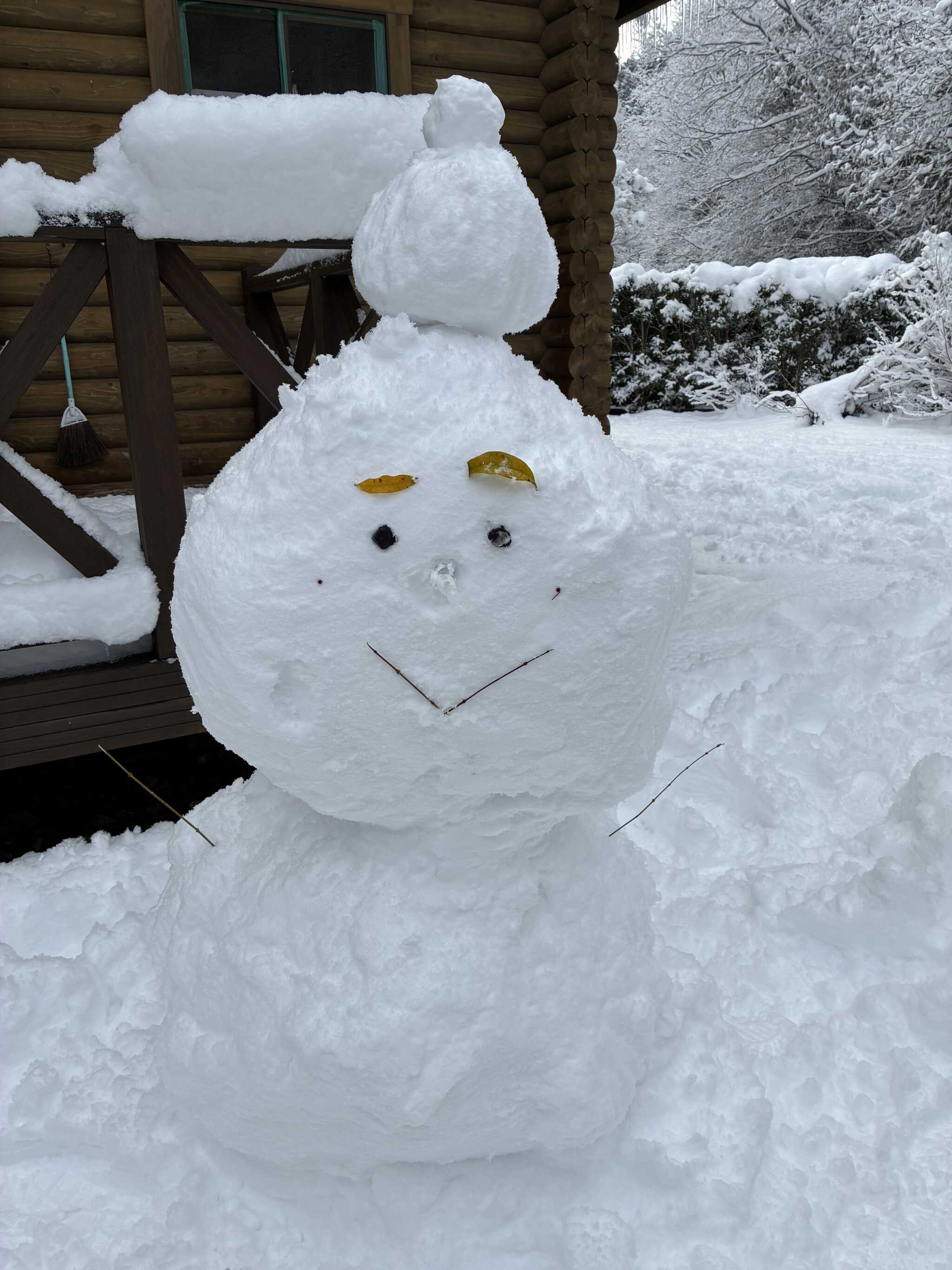 朝起きると雪が積もっており、雪だるまを作って楽しみました。