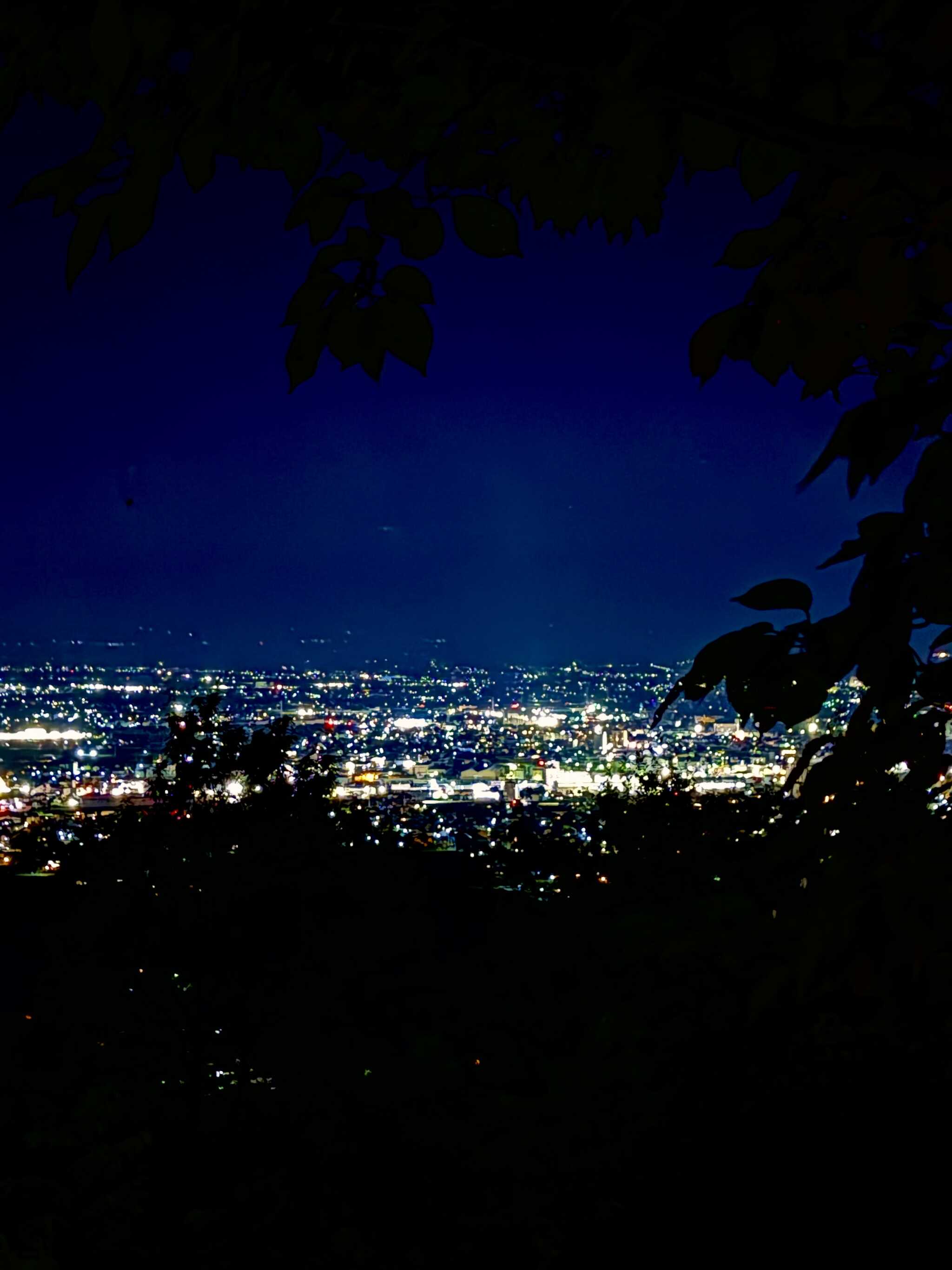 夜景最高でした
