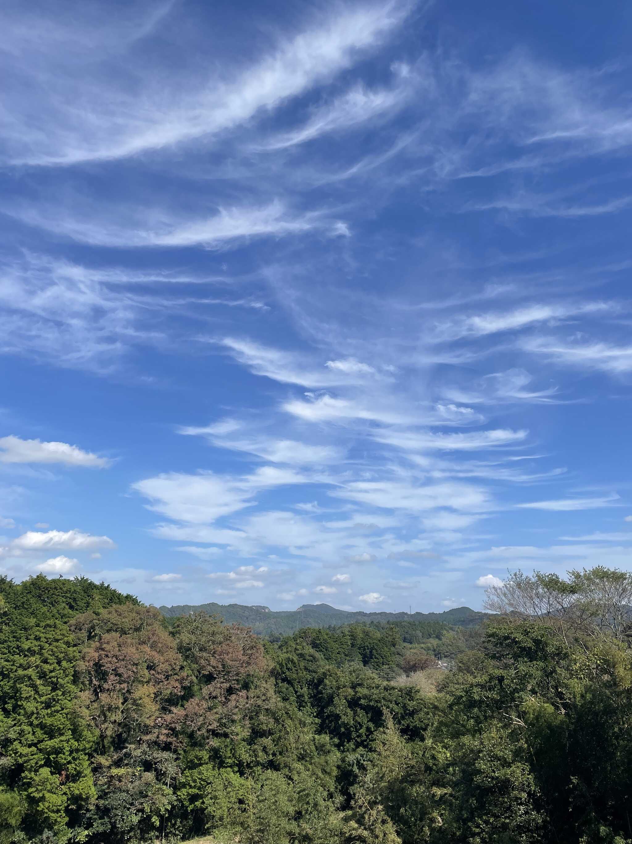 44番サイトからの景色