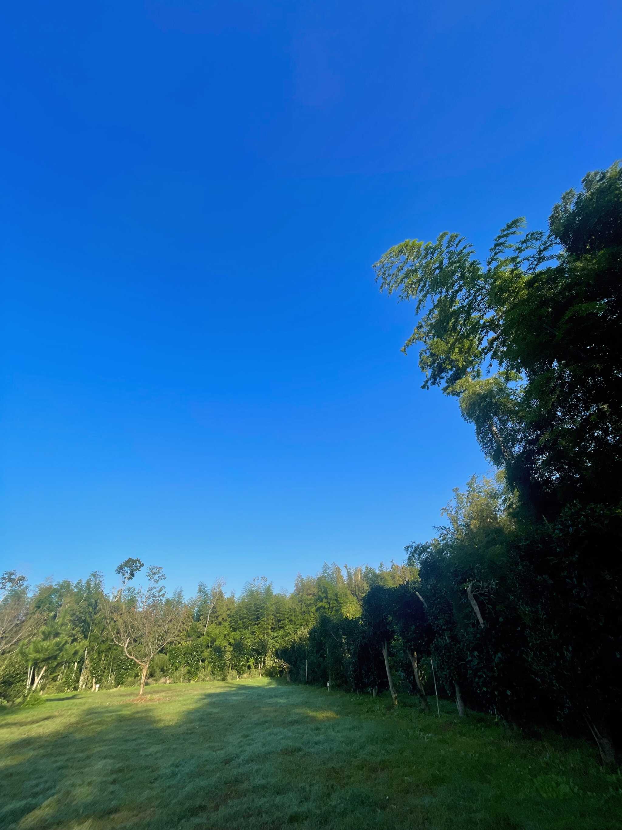 最後ね日の朝雲一つ無い青空