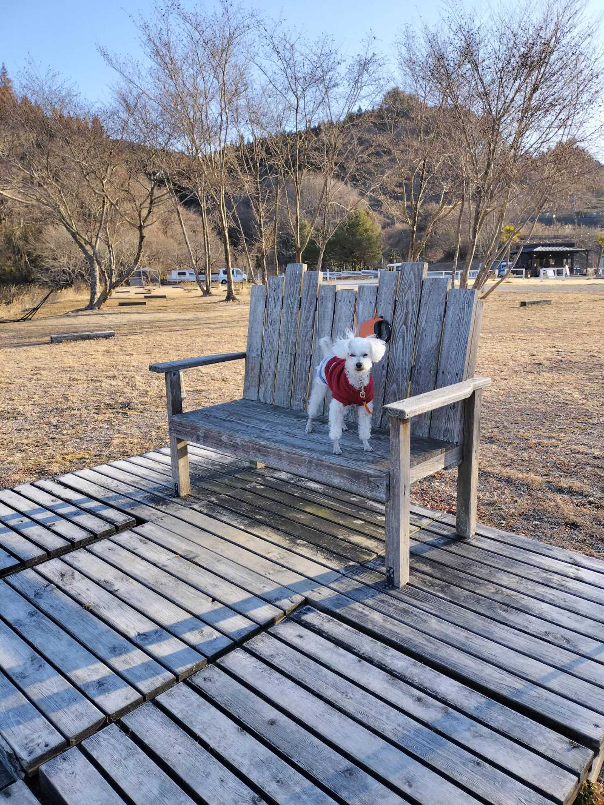 パーク内散歩の途中で⋯!