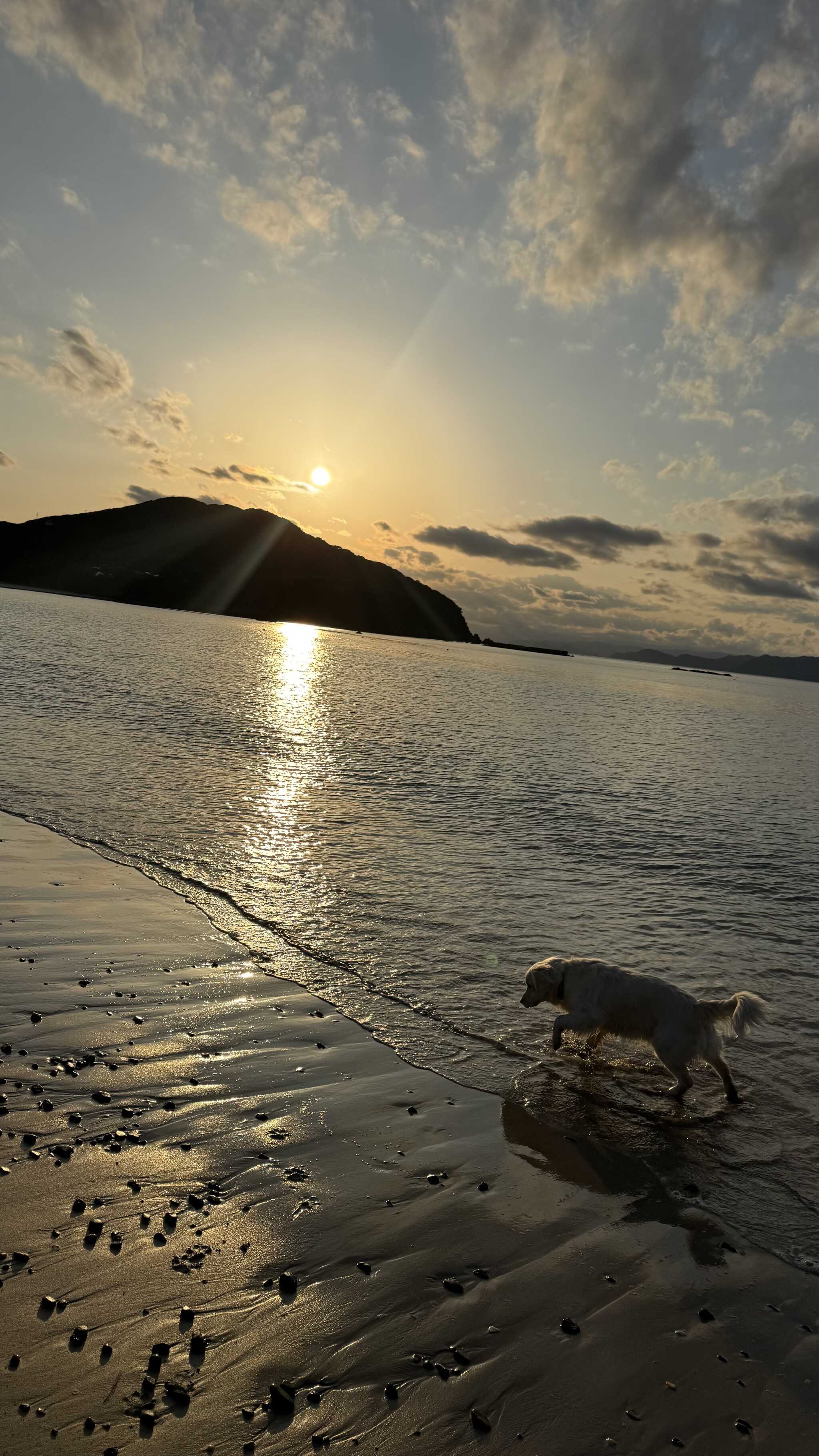 直近海岸