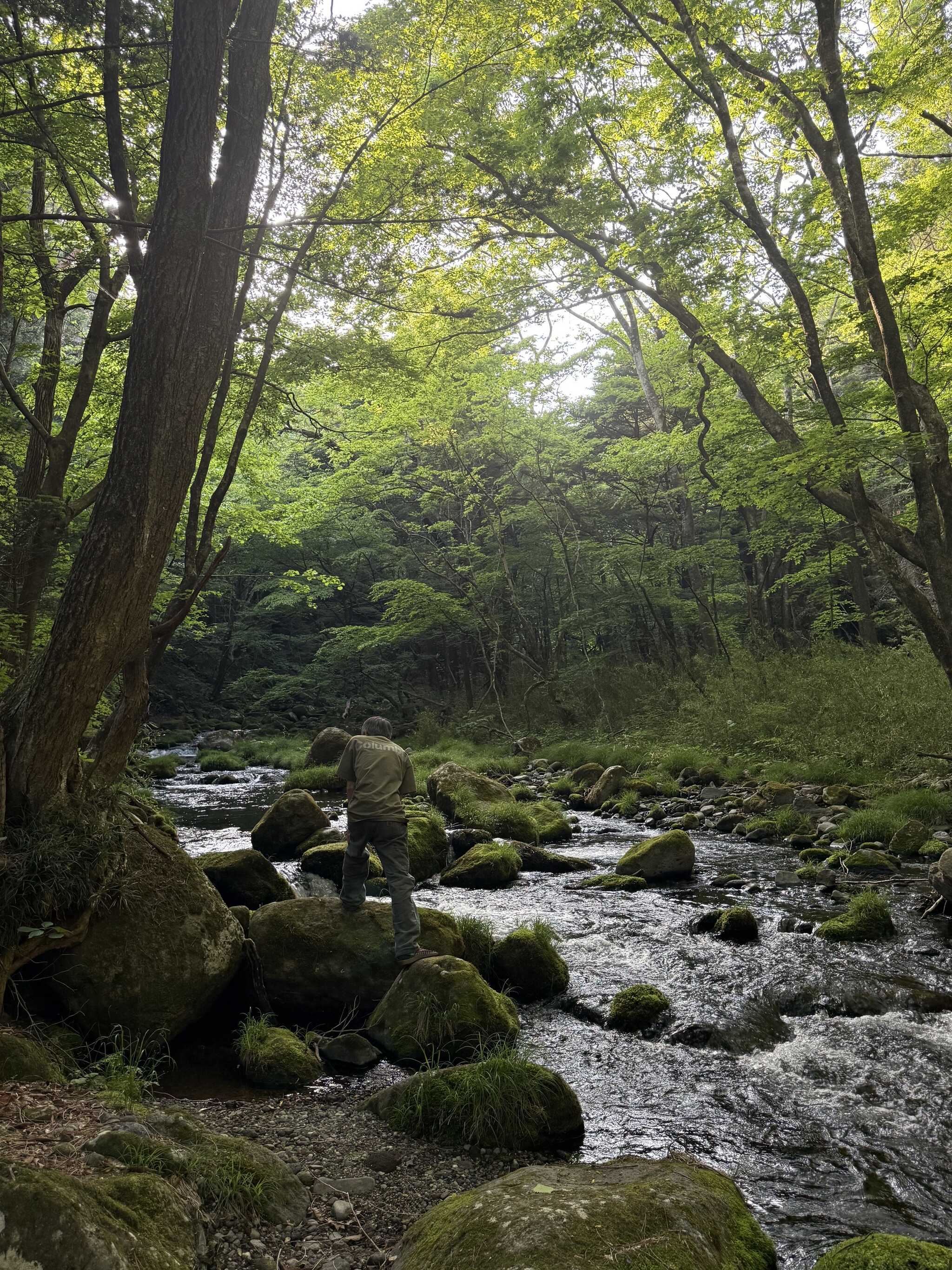 澄んだ水