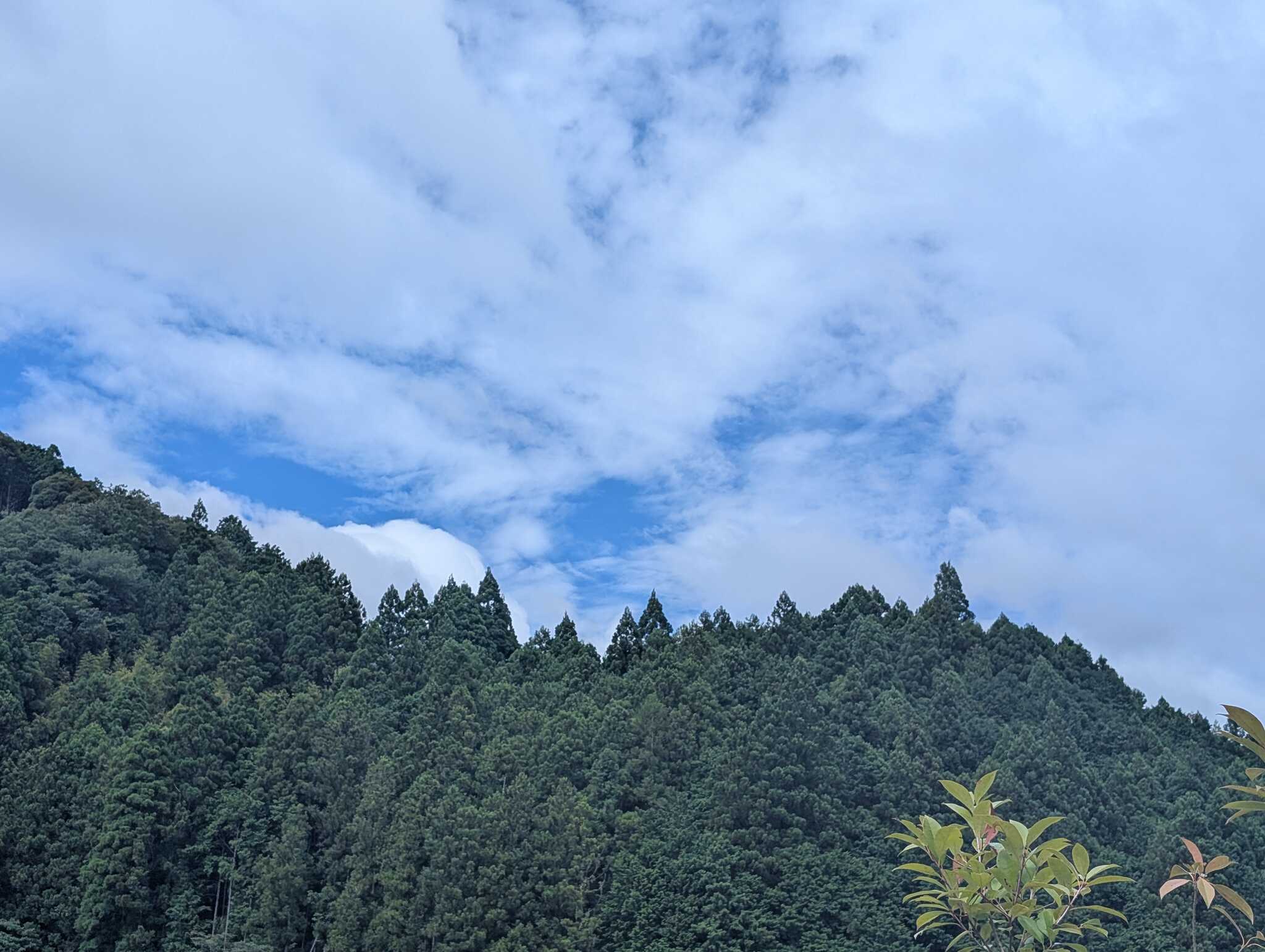 山がすぐそこです