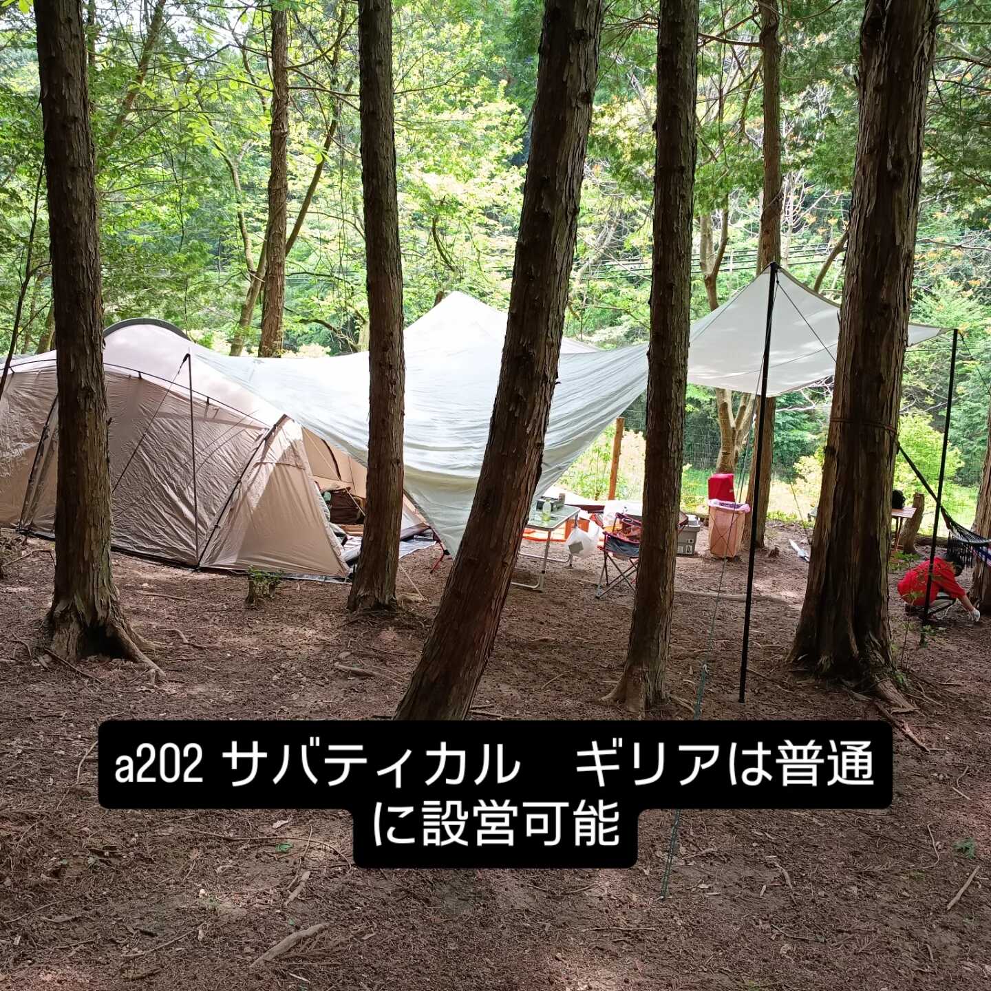 a202設営