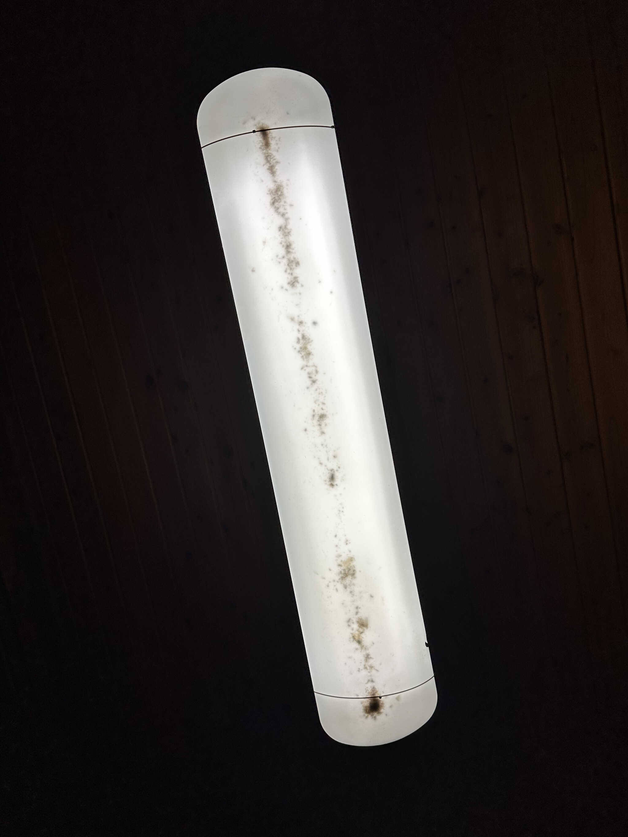 電灯の中…