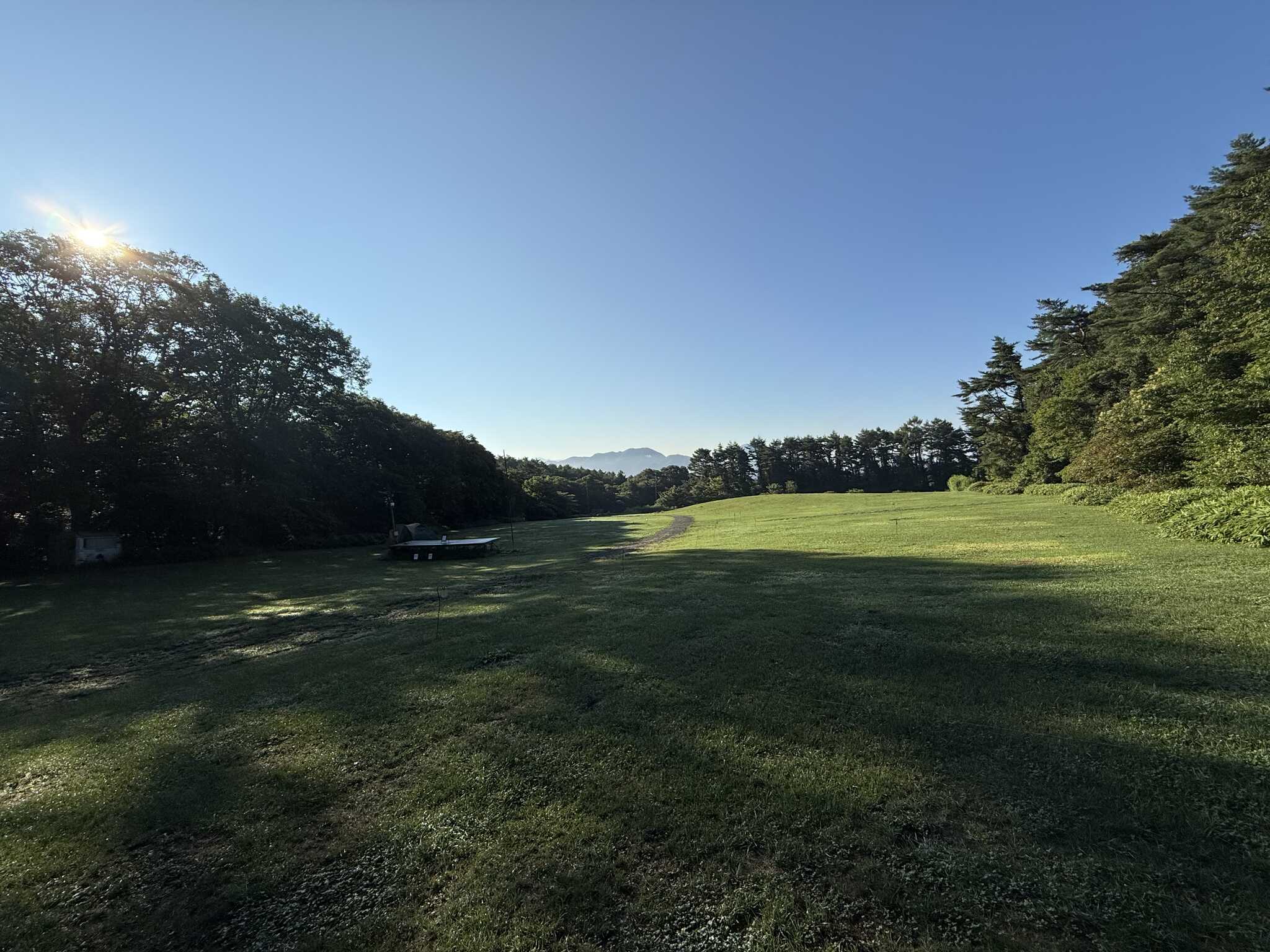 朝の一枚。最初の写真と比べてみてください