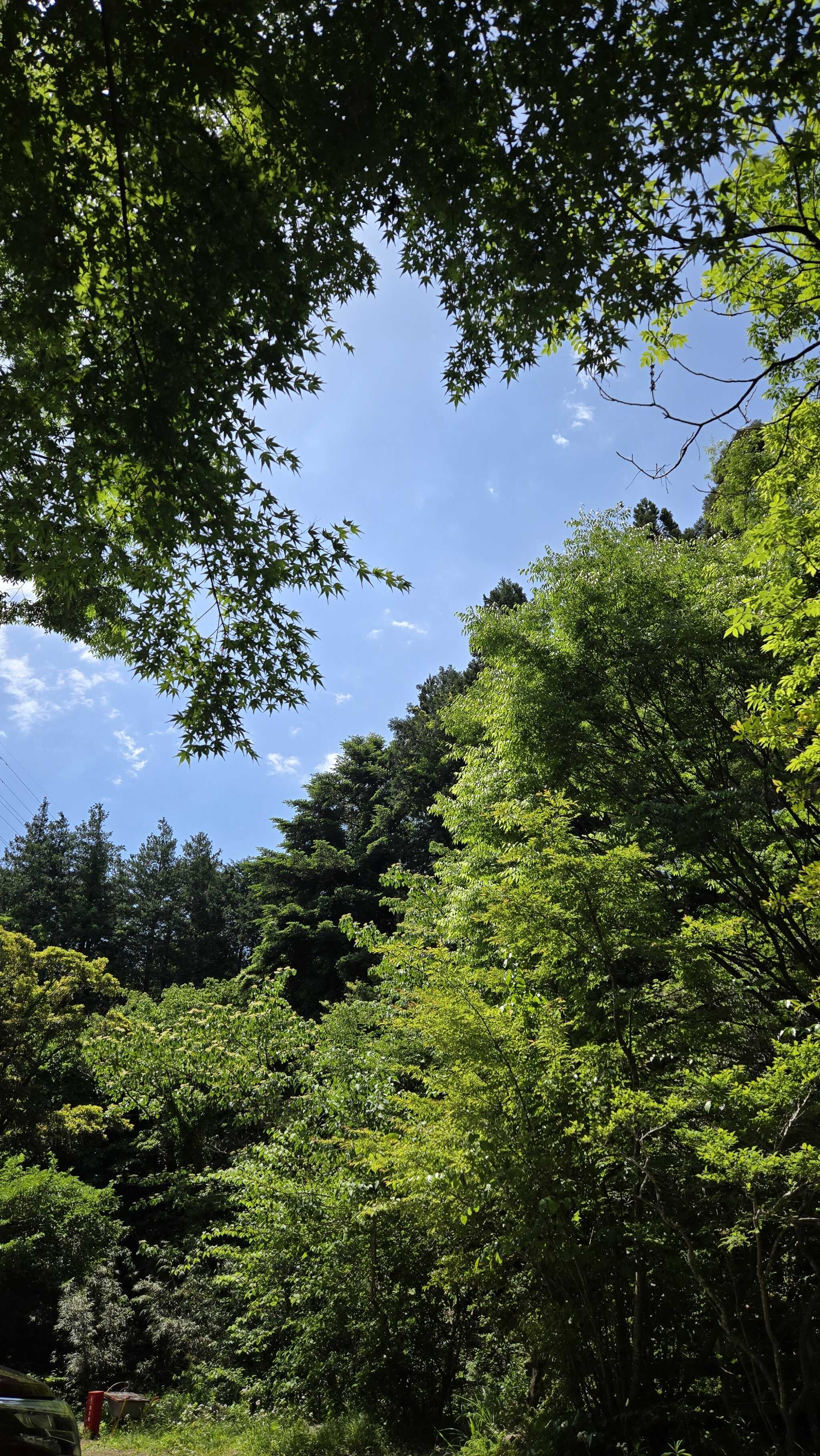 清流サイトからの空