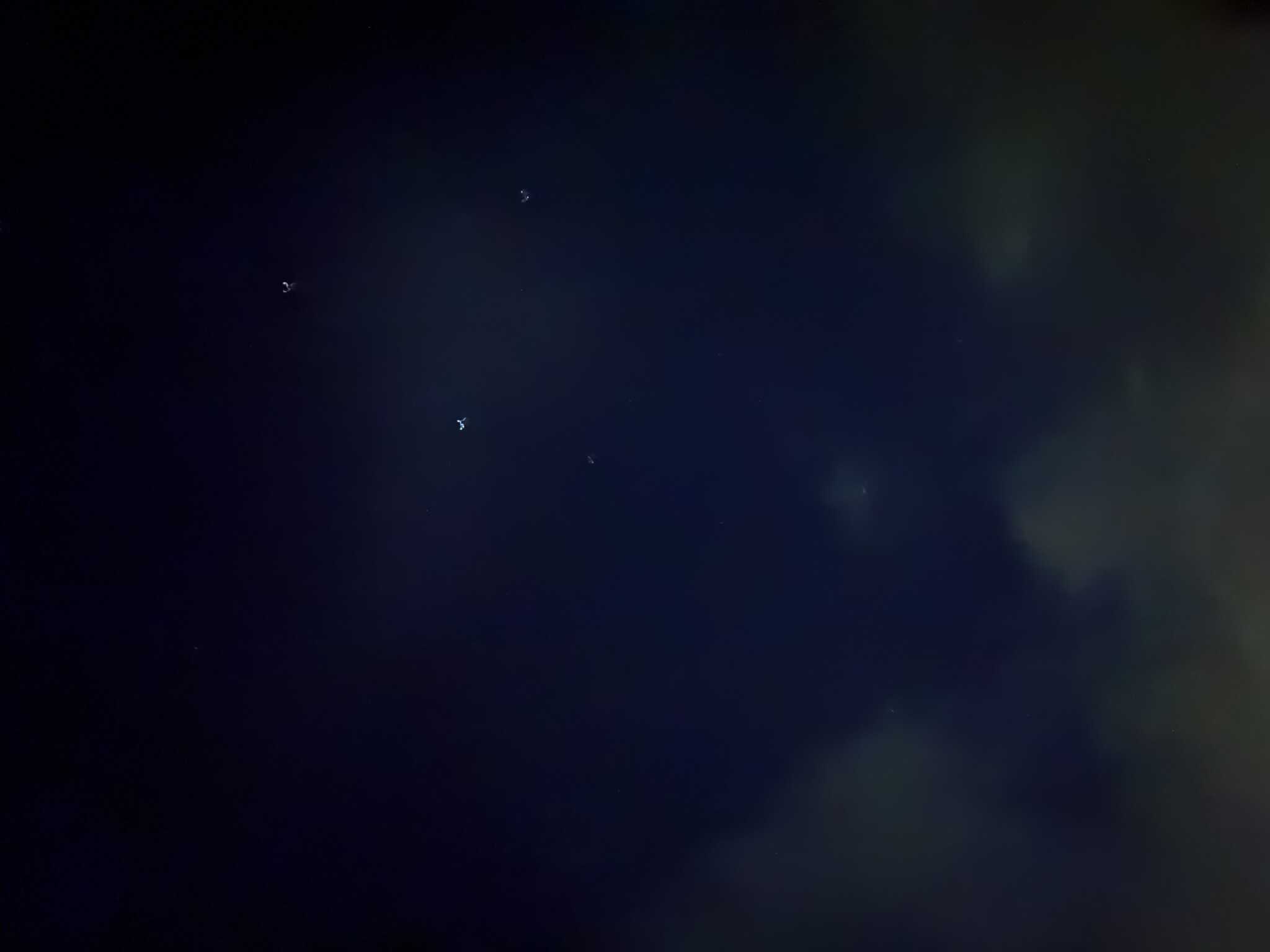 みれた星1
