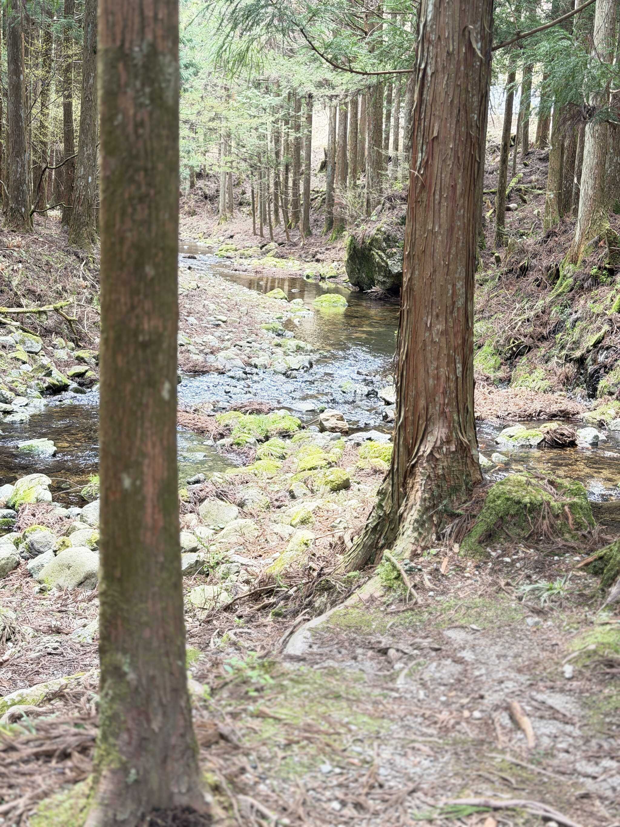 川のせせらぎ