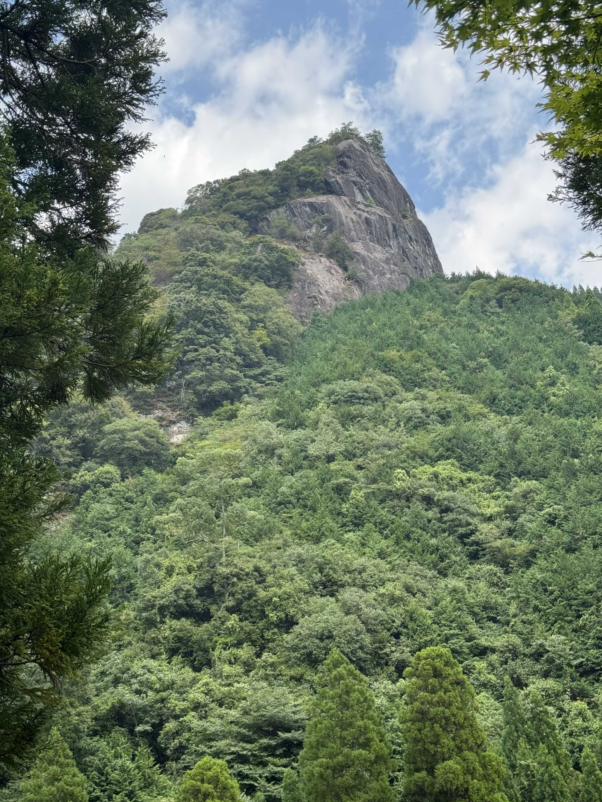 ロッジからの景色です