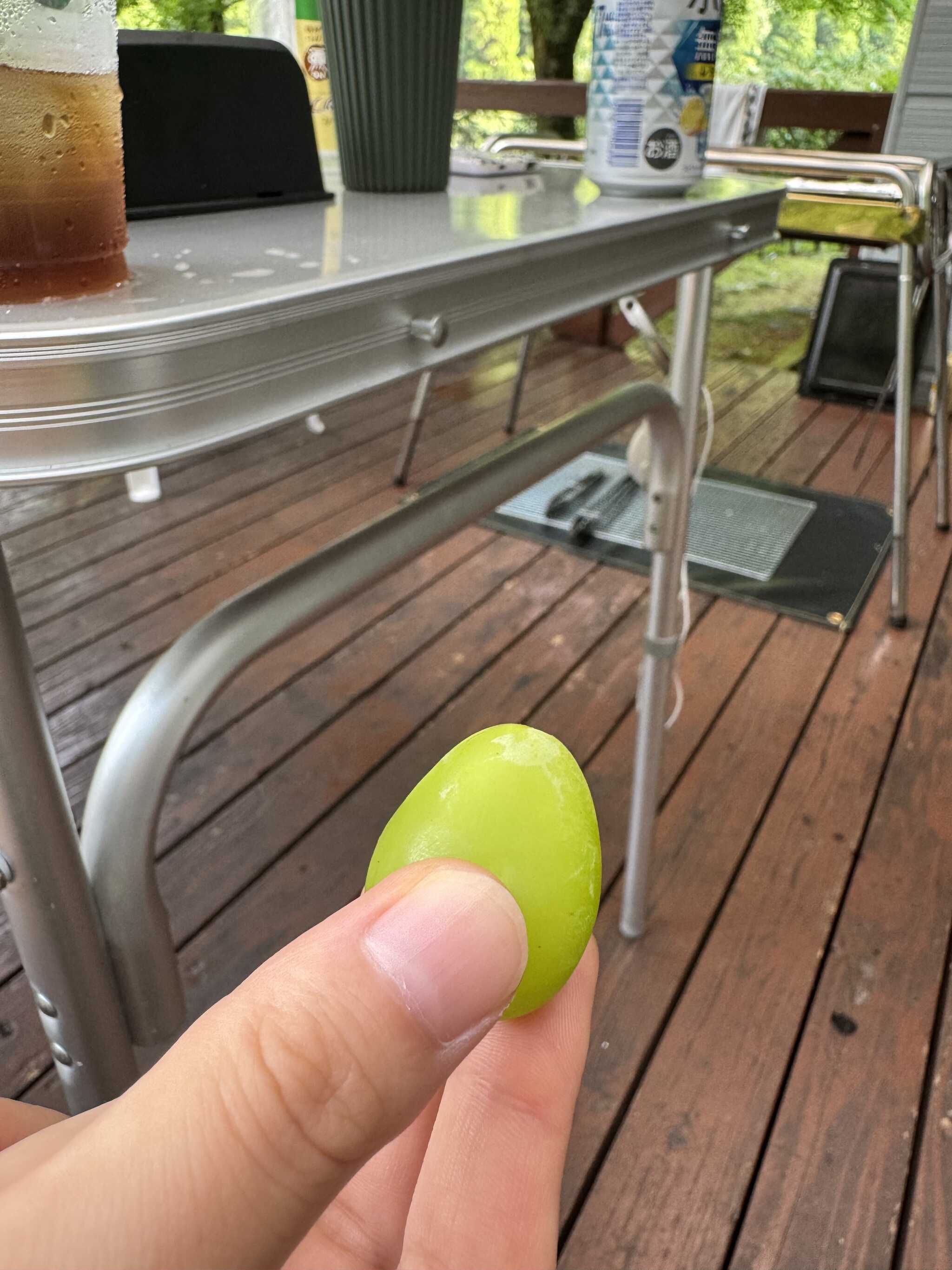 今回食べたシャインマスカットです
