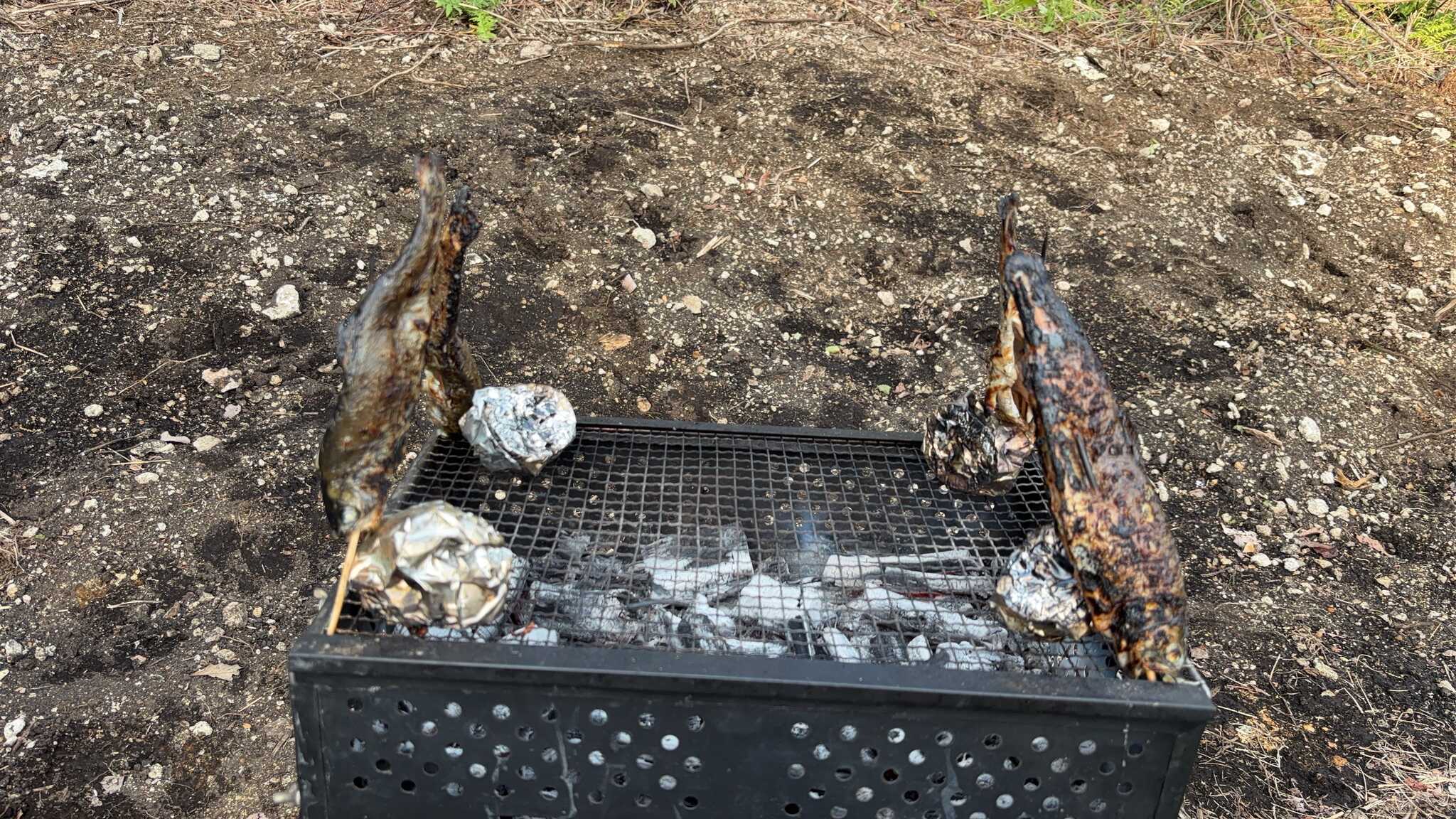 釣り堀の岩魚をバーベキューで焼きました!